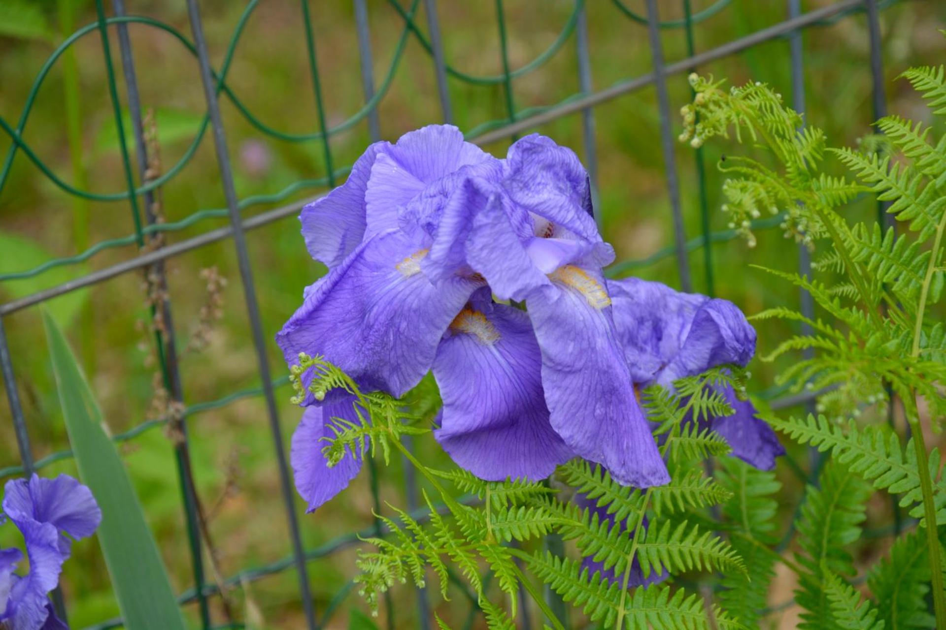 Photo 20