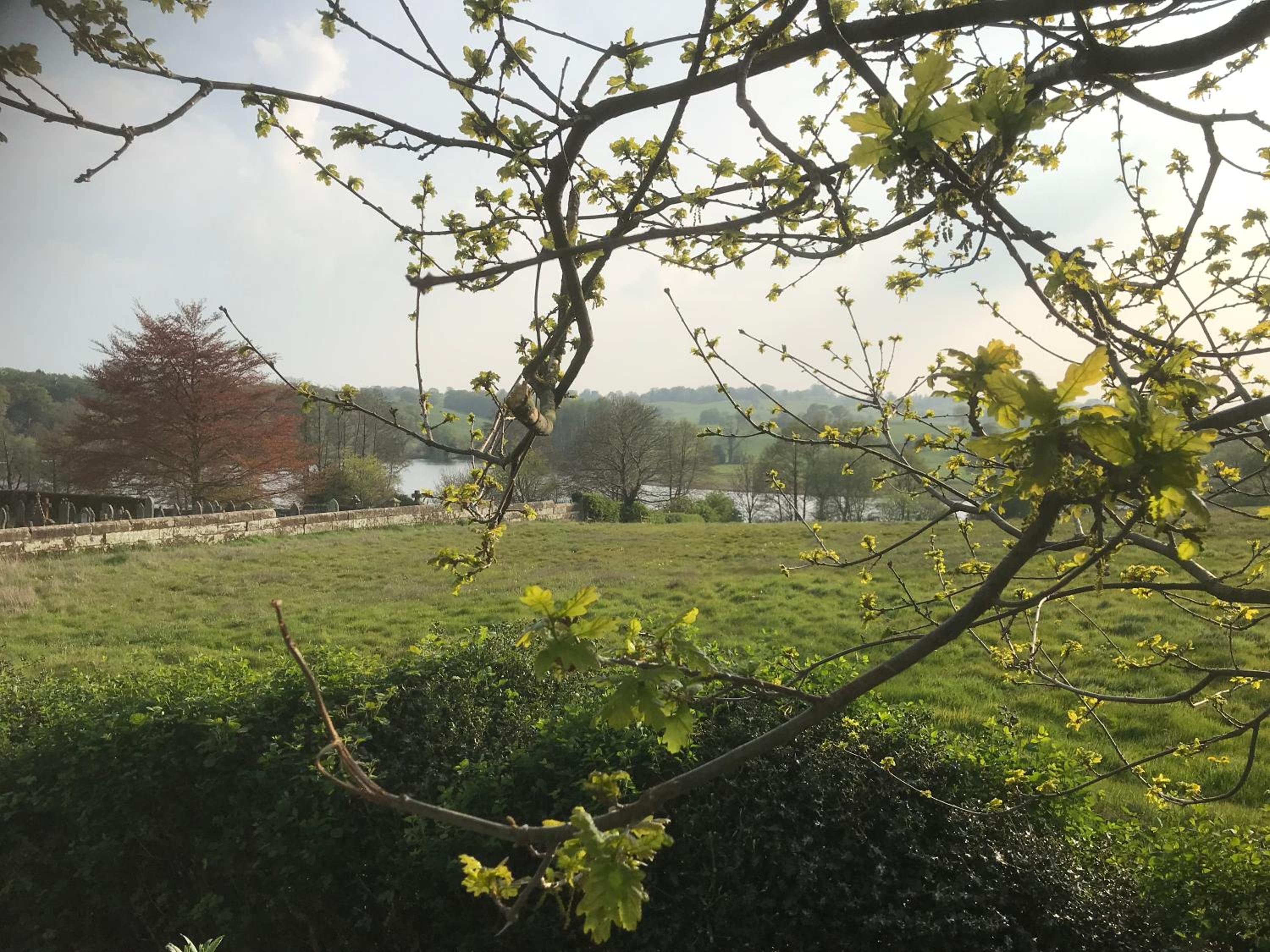 The Old Dower House view 5