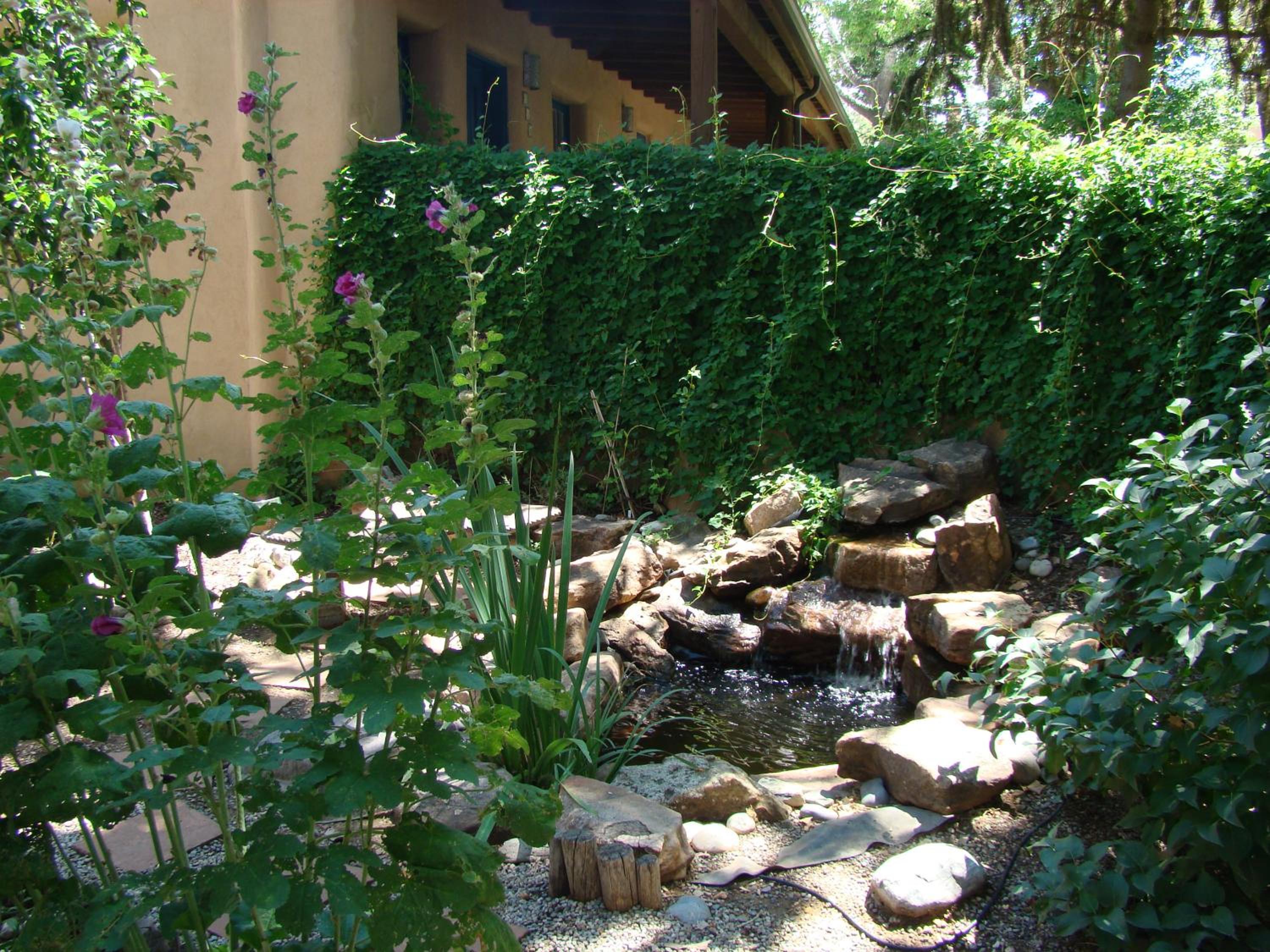 Photo 10