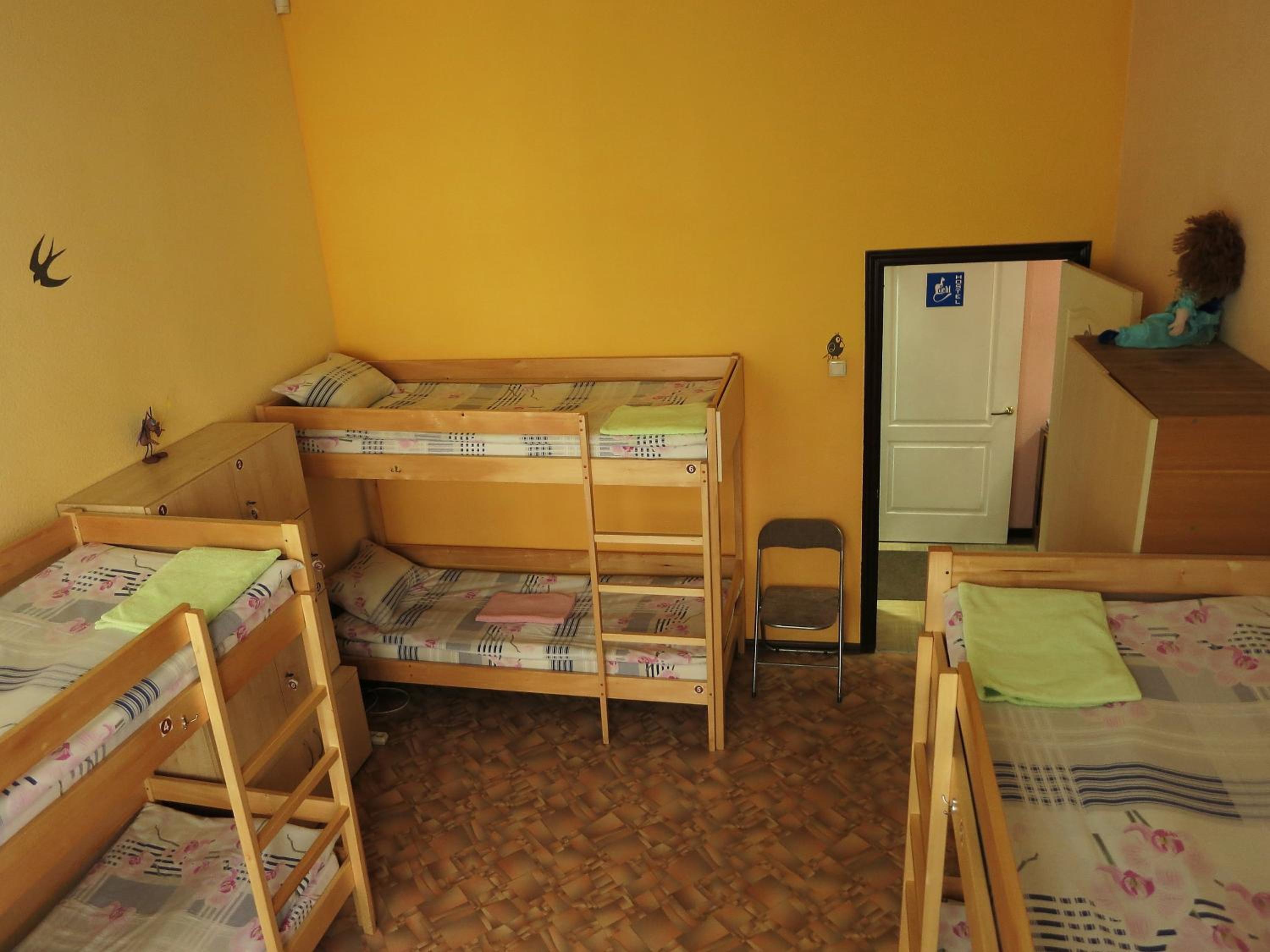 Photo 6