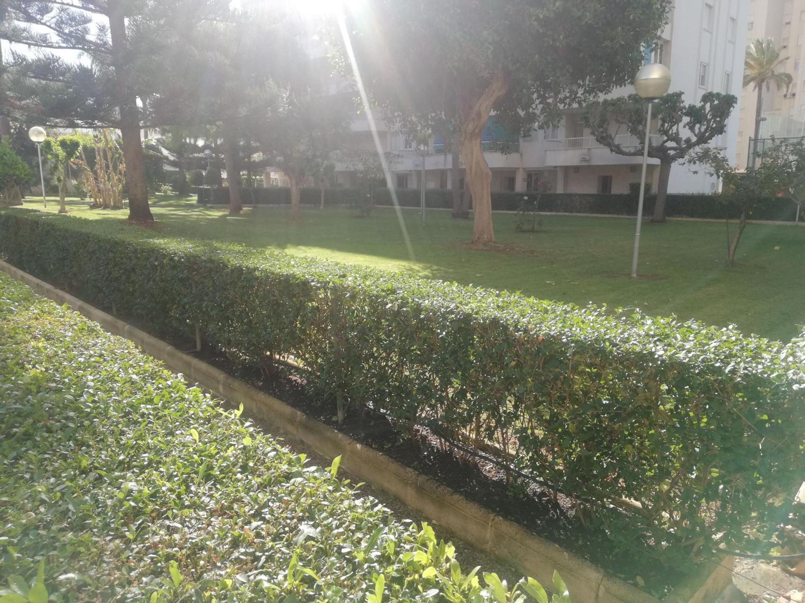 Photo 27