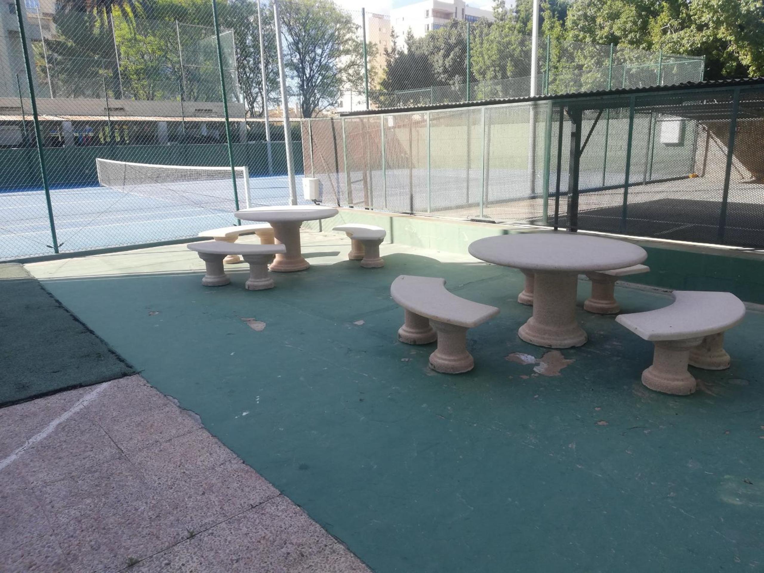 Photo 11
