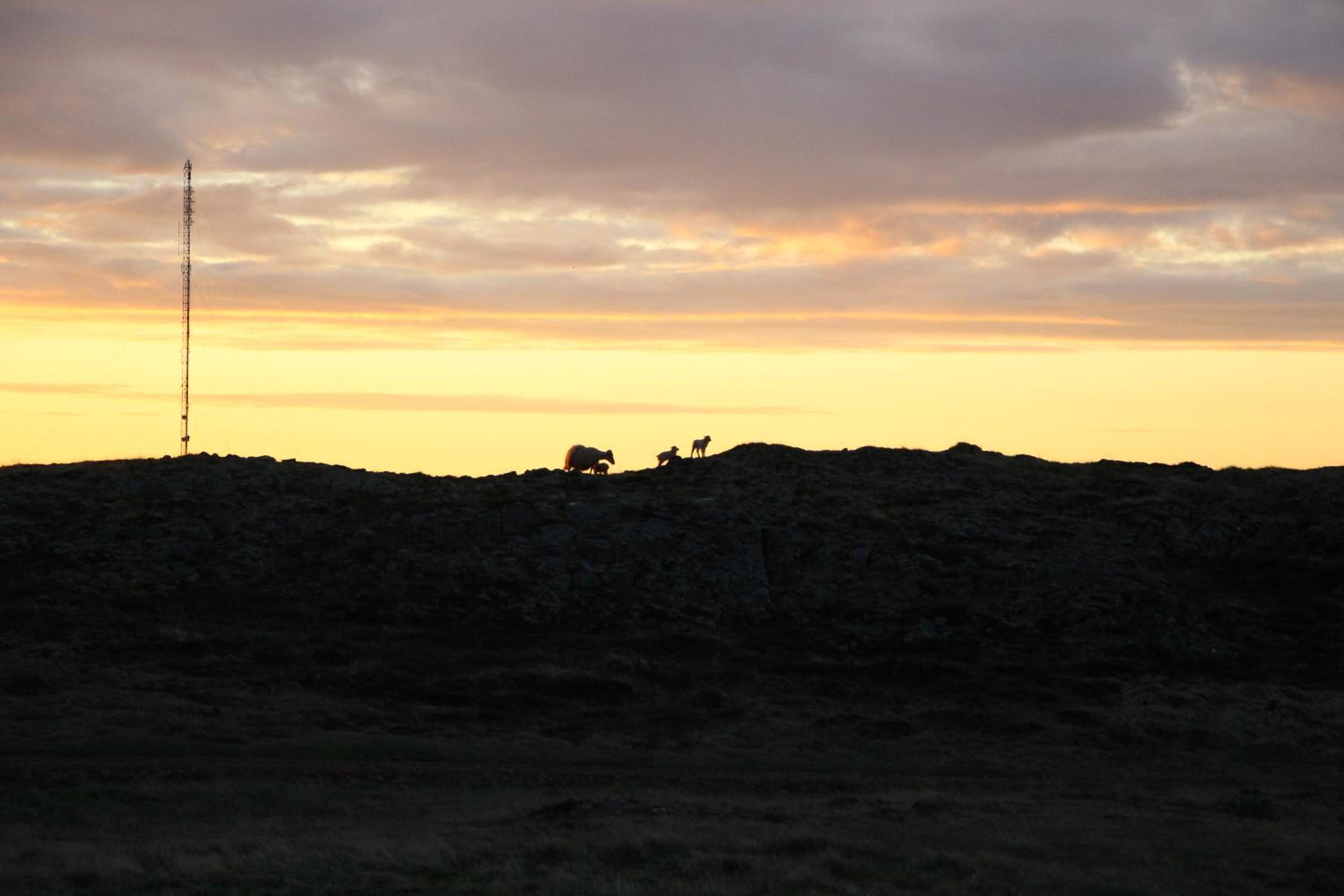 Helgafell Guesthouse