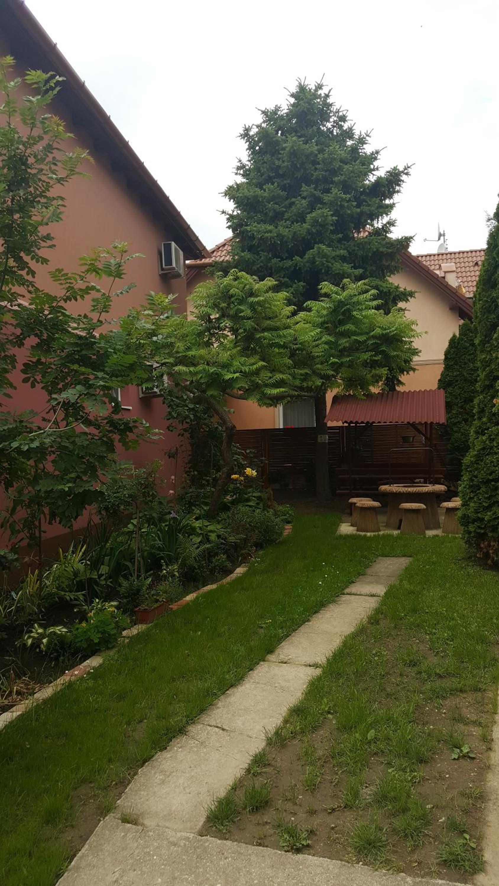 Photo 35