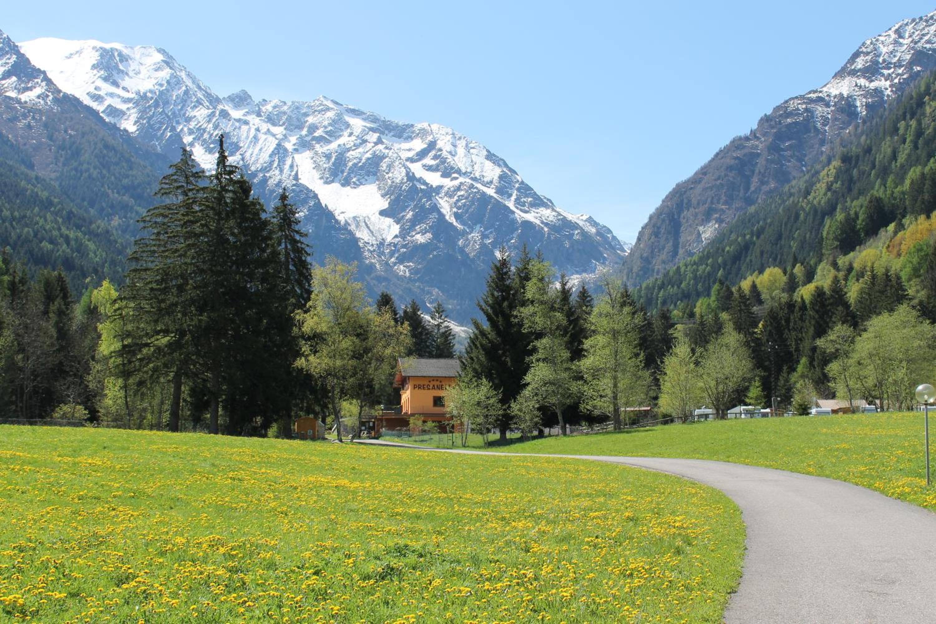 Chalet Presanella