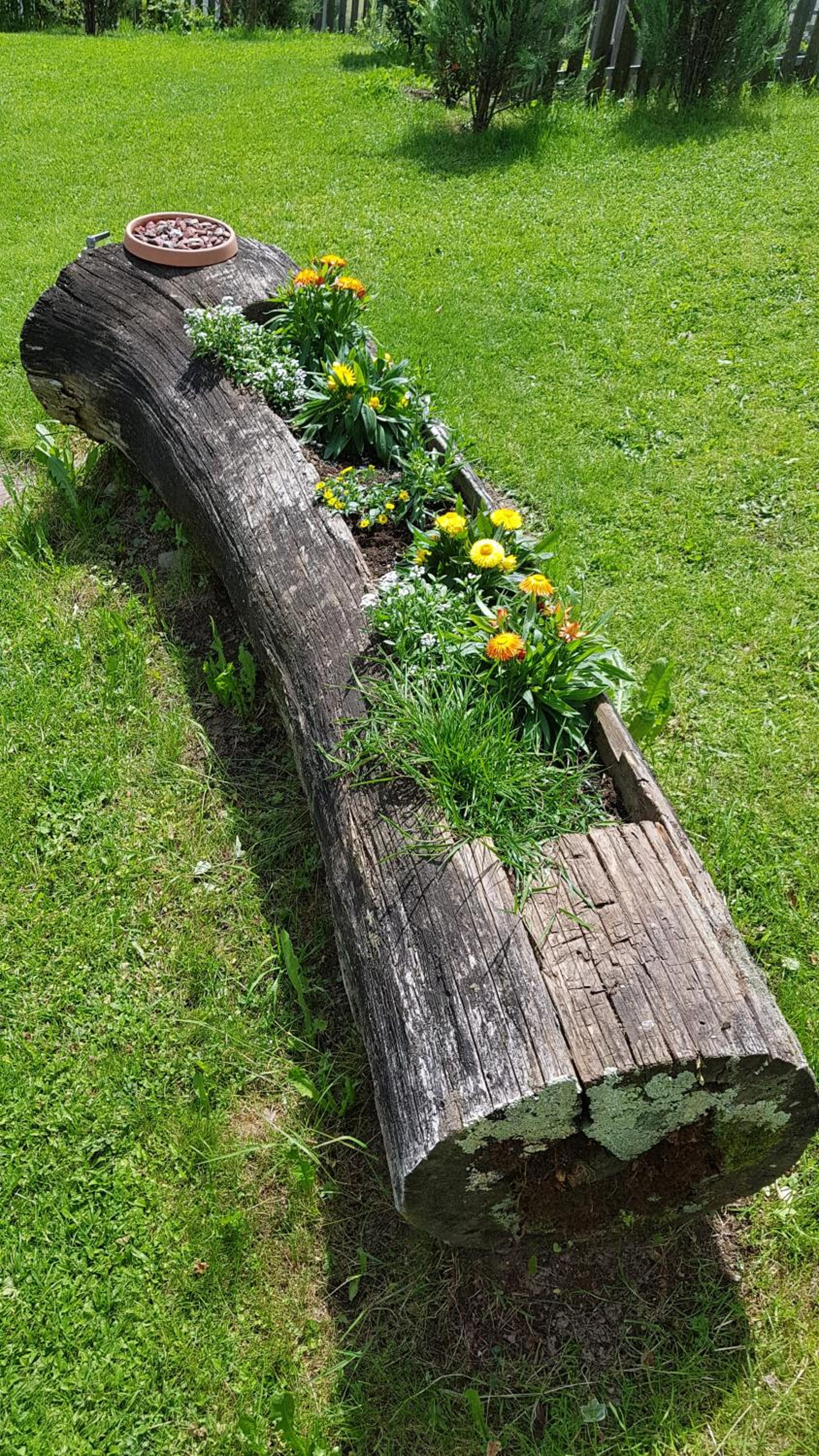 Ferienappartements Eschenleit