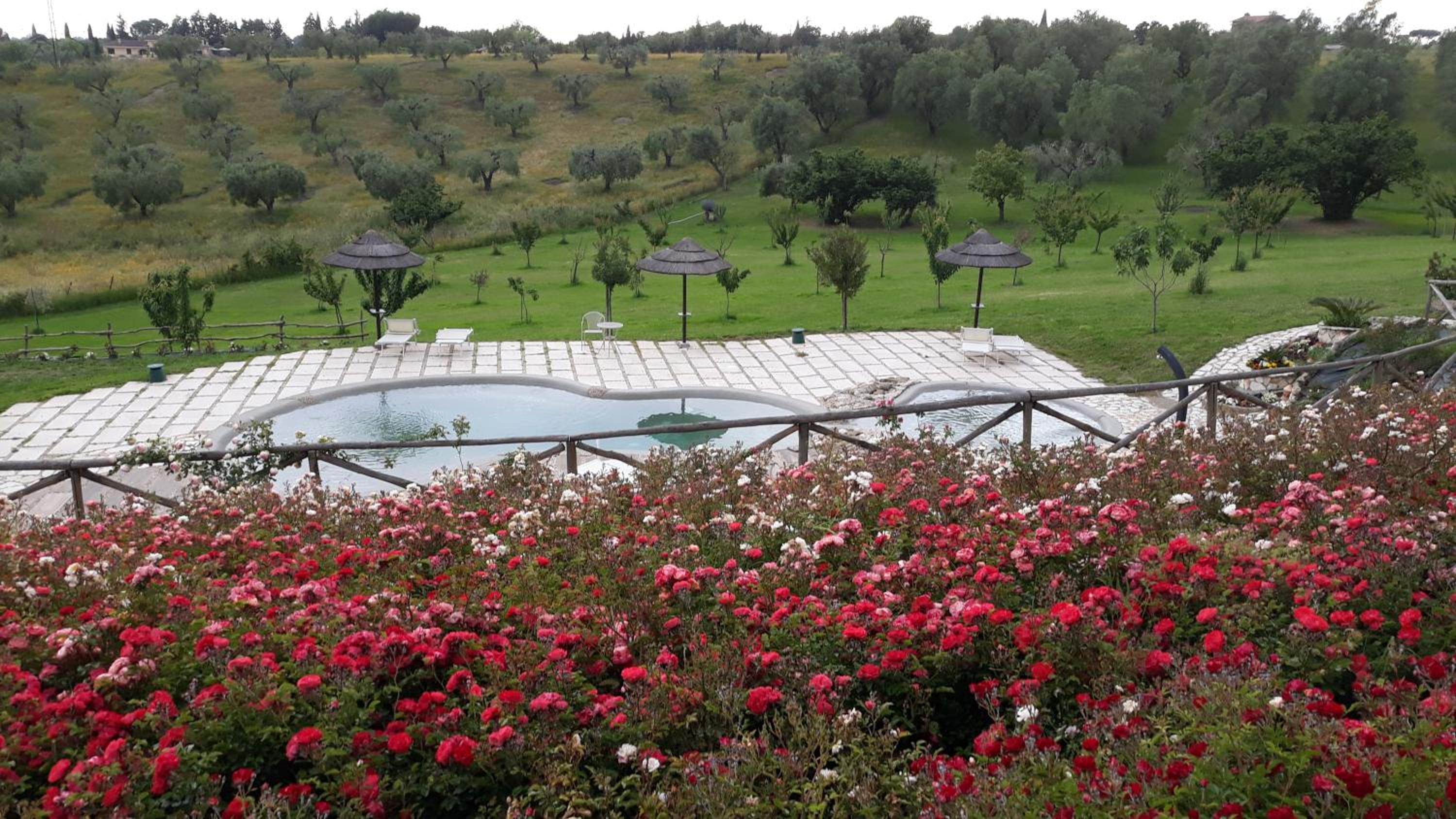 angolo di paradiso