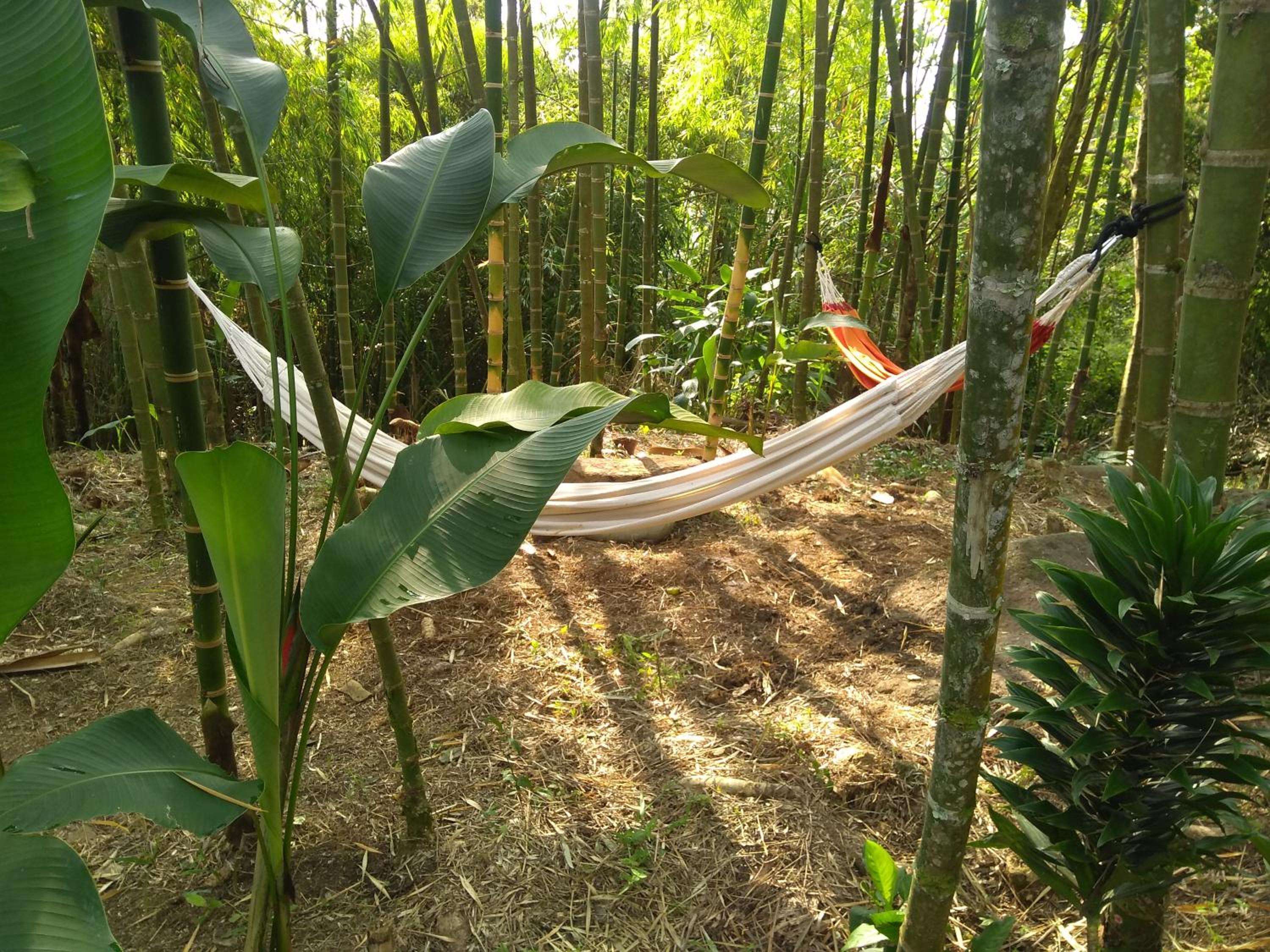 Finca Colibrí Zafiro, Altos del Rosario
