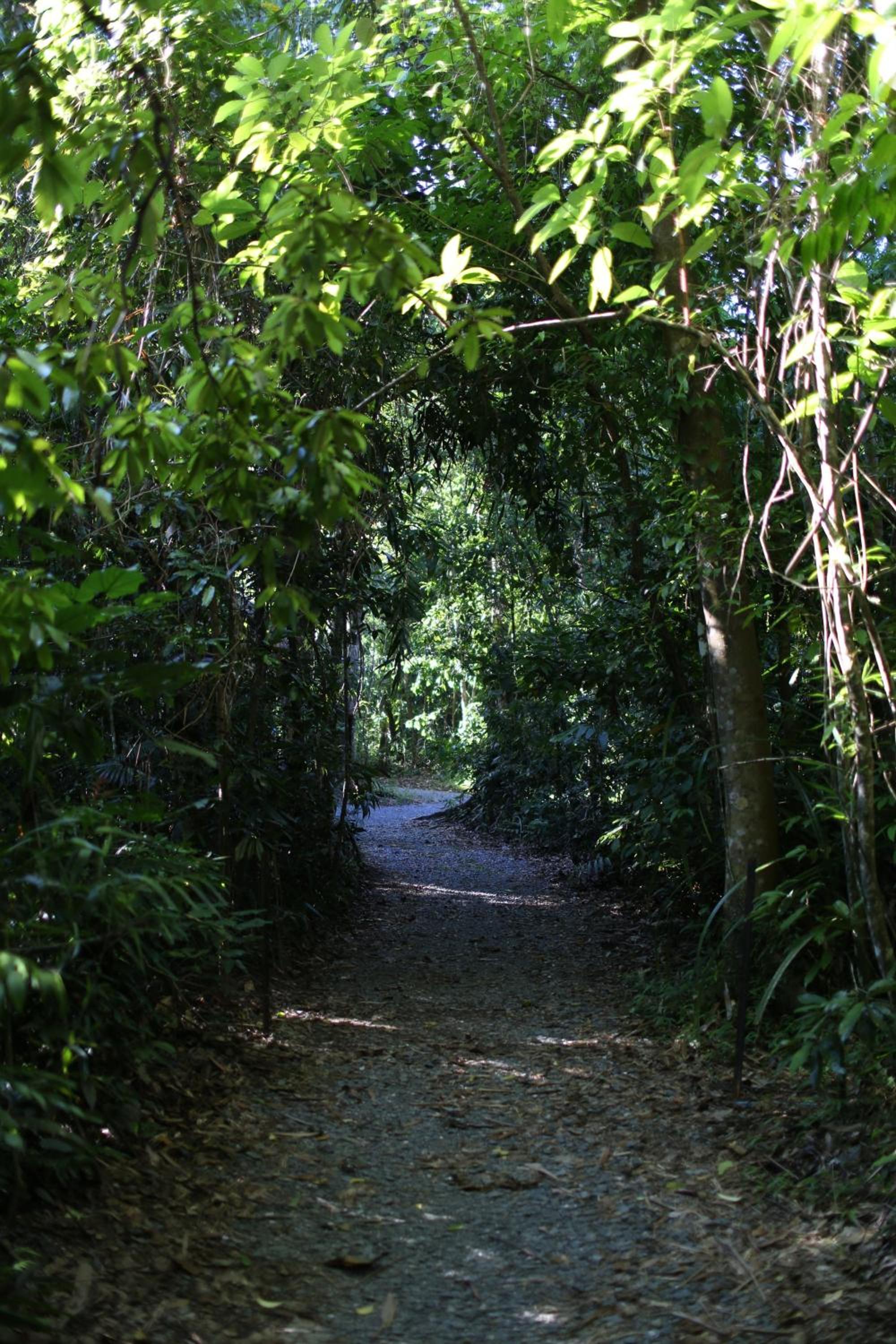 Photo 42
