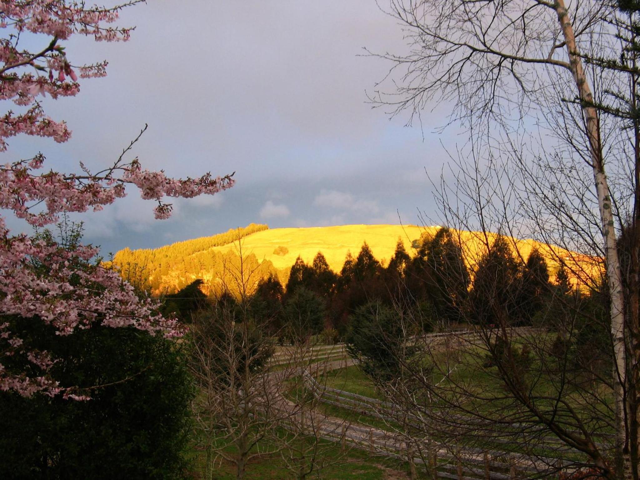 Whakaipo Lodge
