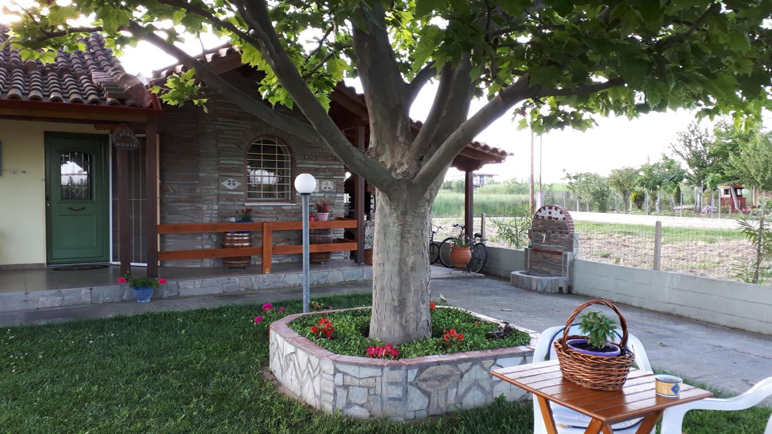 Photo 31