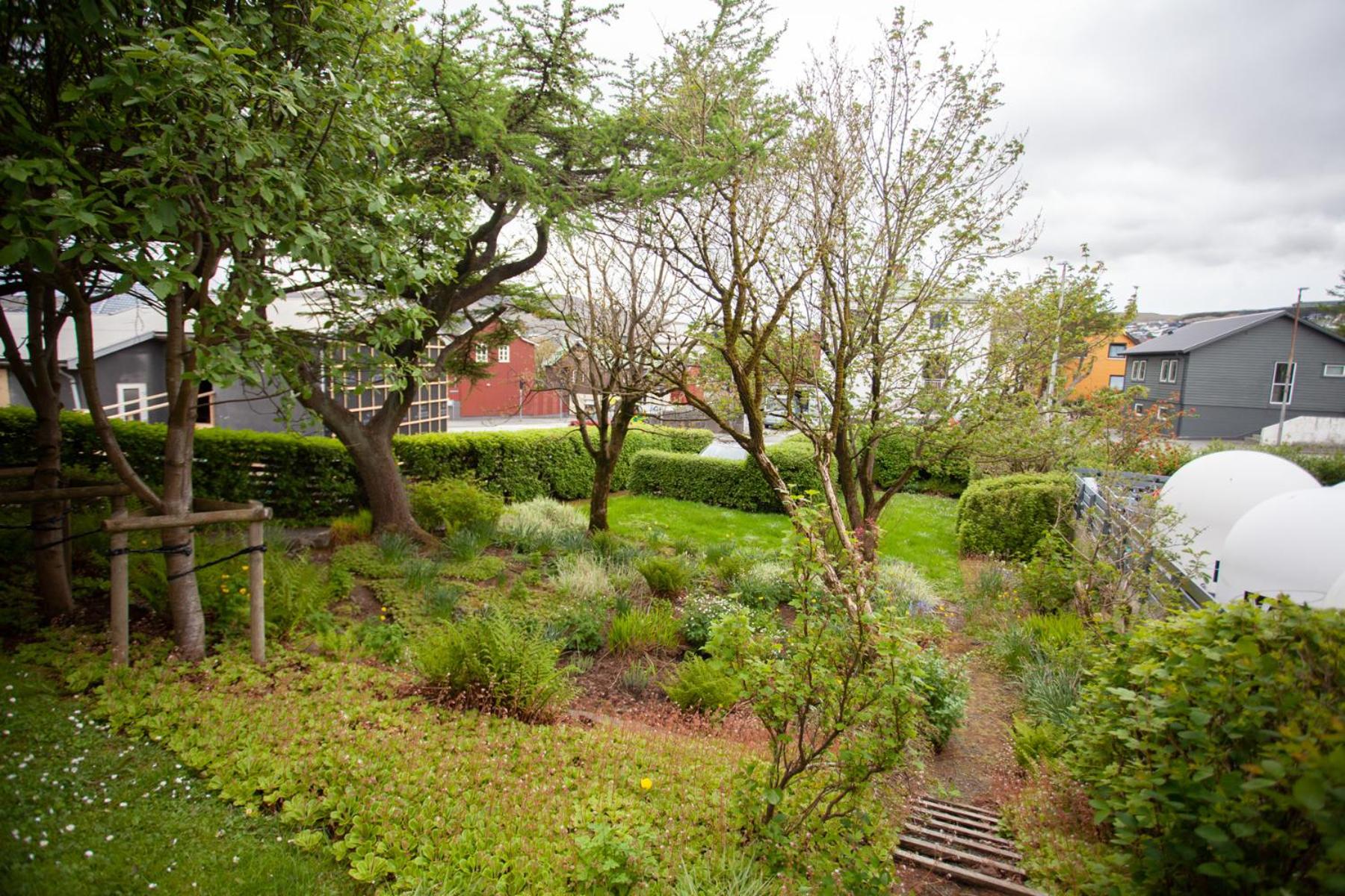 Photo 21