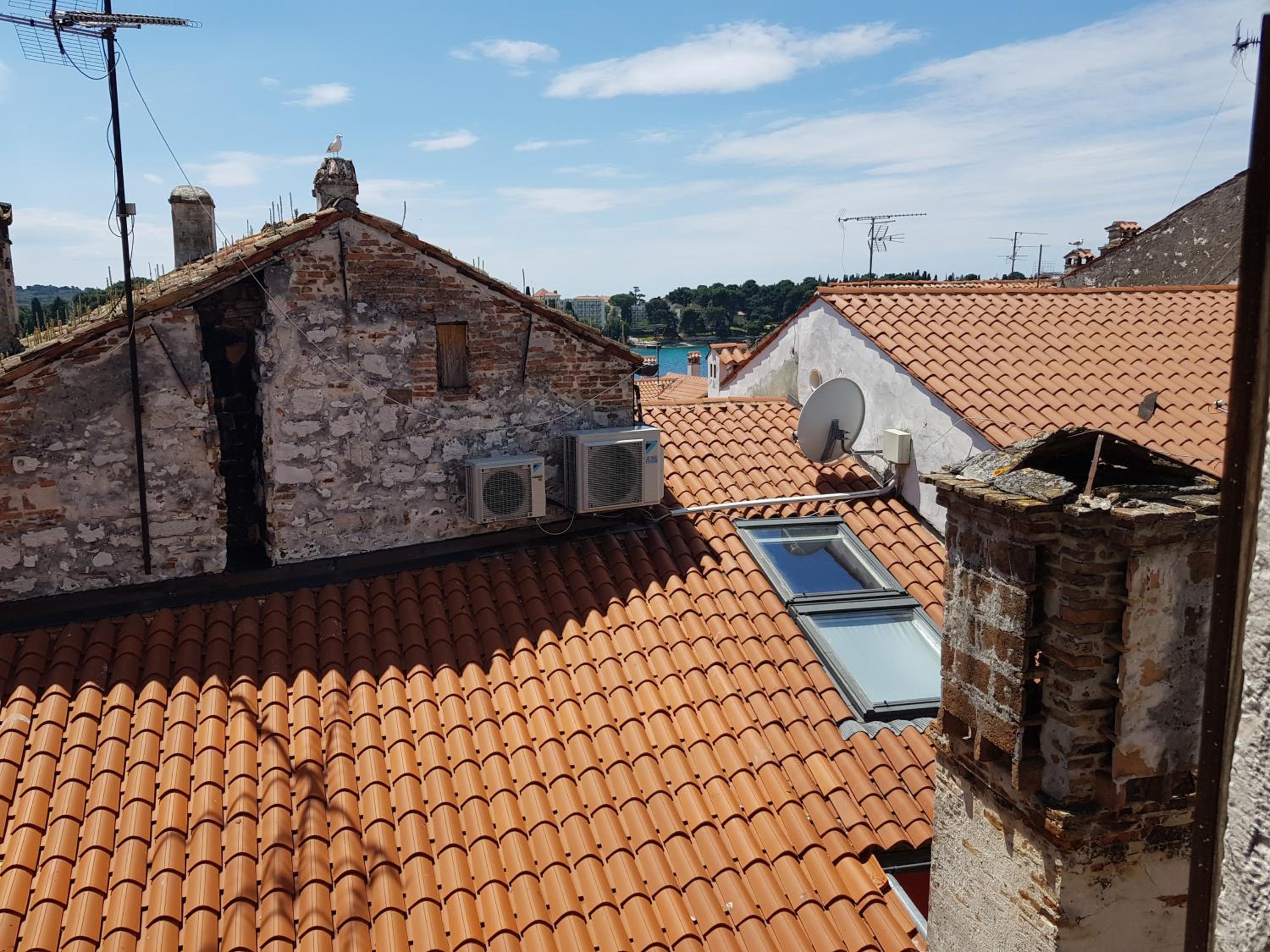 roof