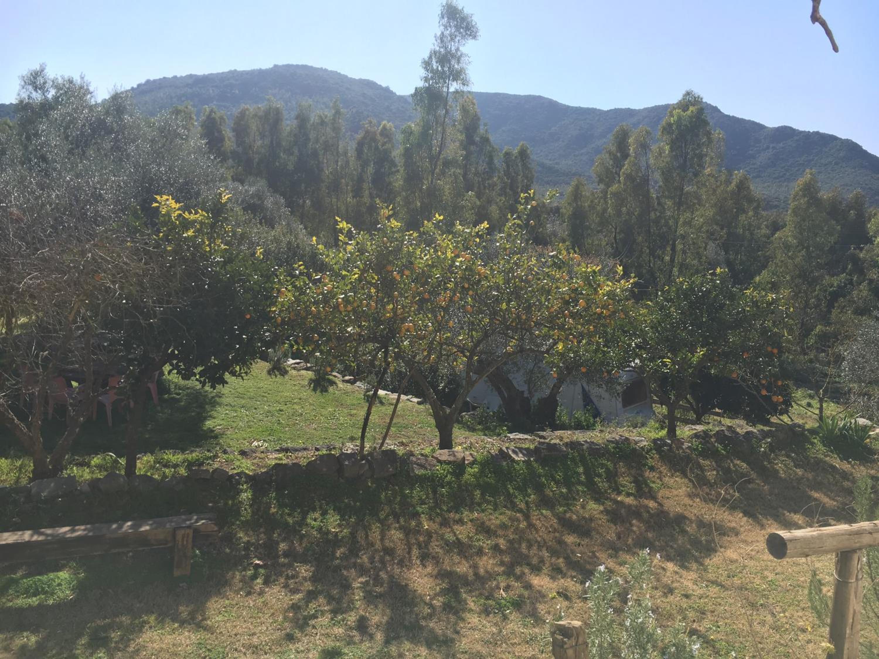 Photo 48