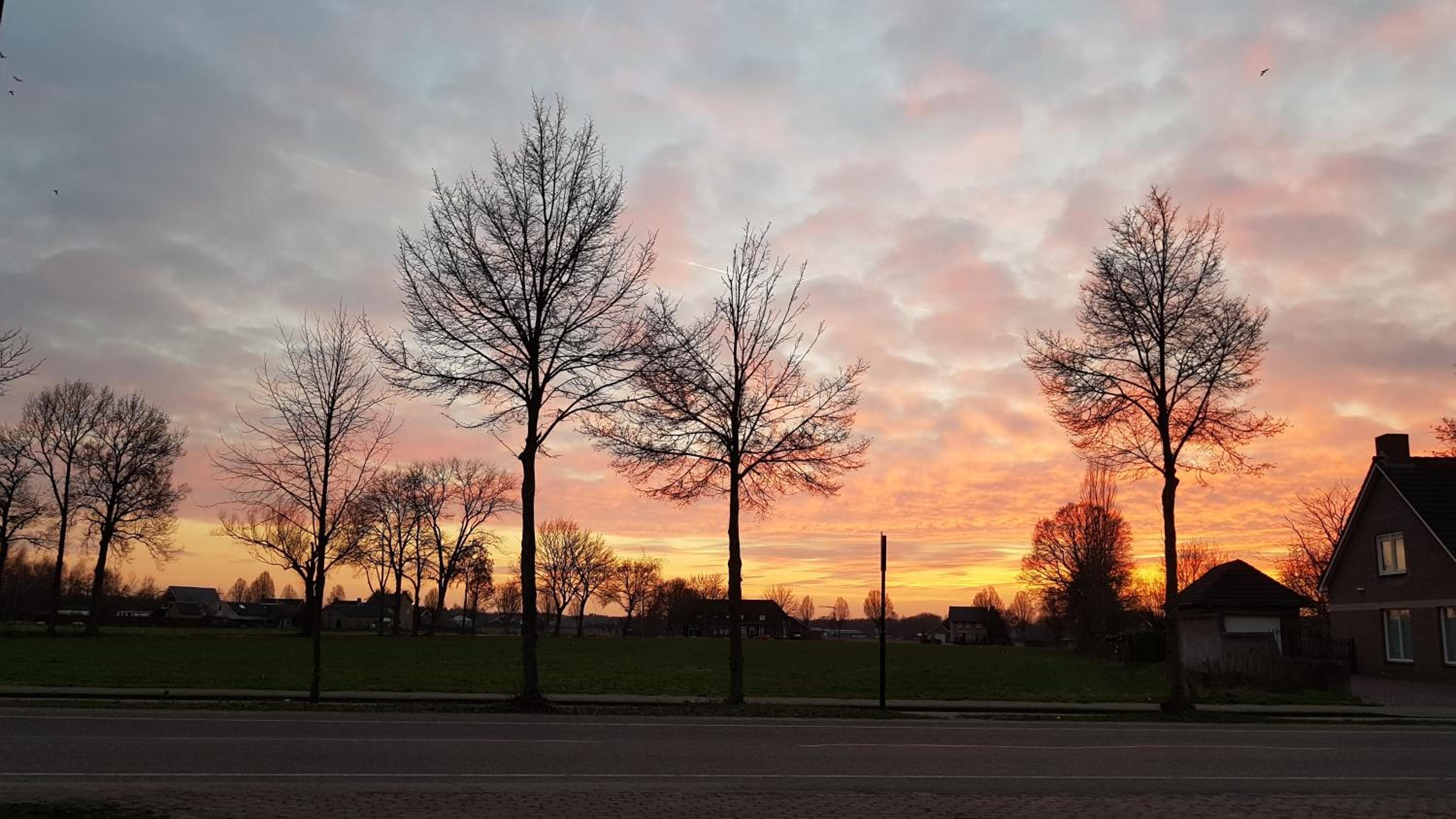 B&B De Zeven Berken view 3