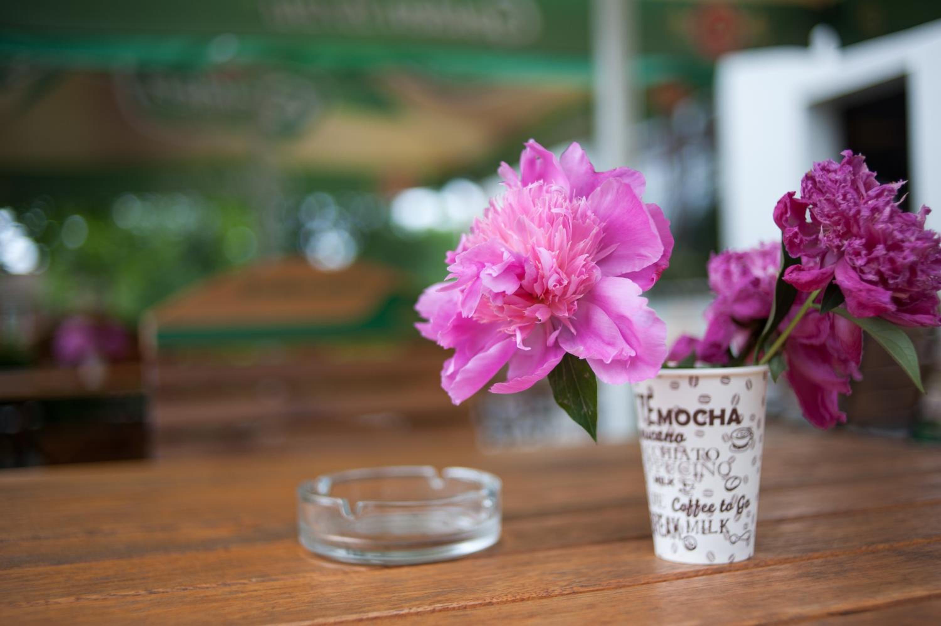 Pension Florica