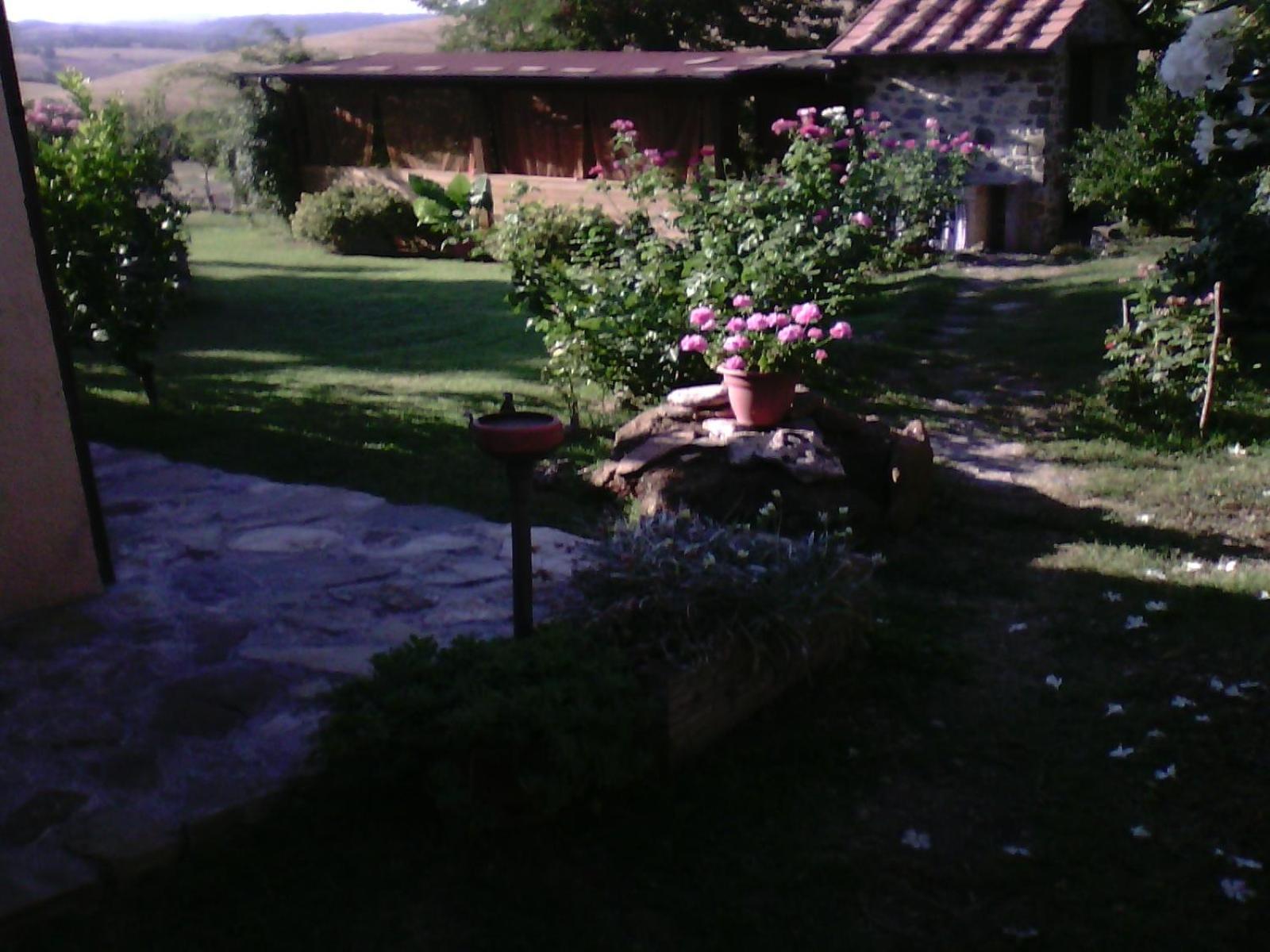 Agriturismo Podere Micitto photo 3