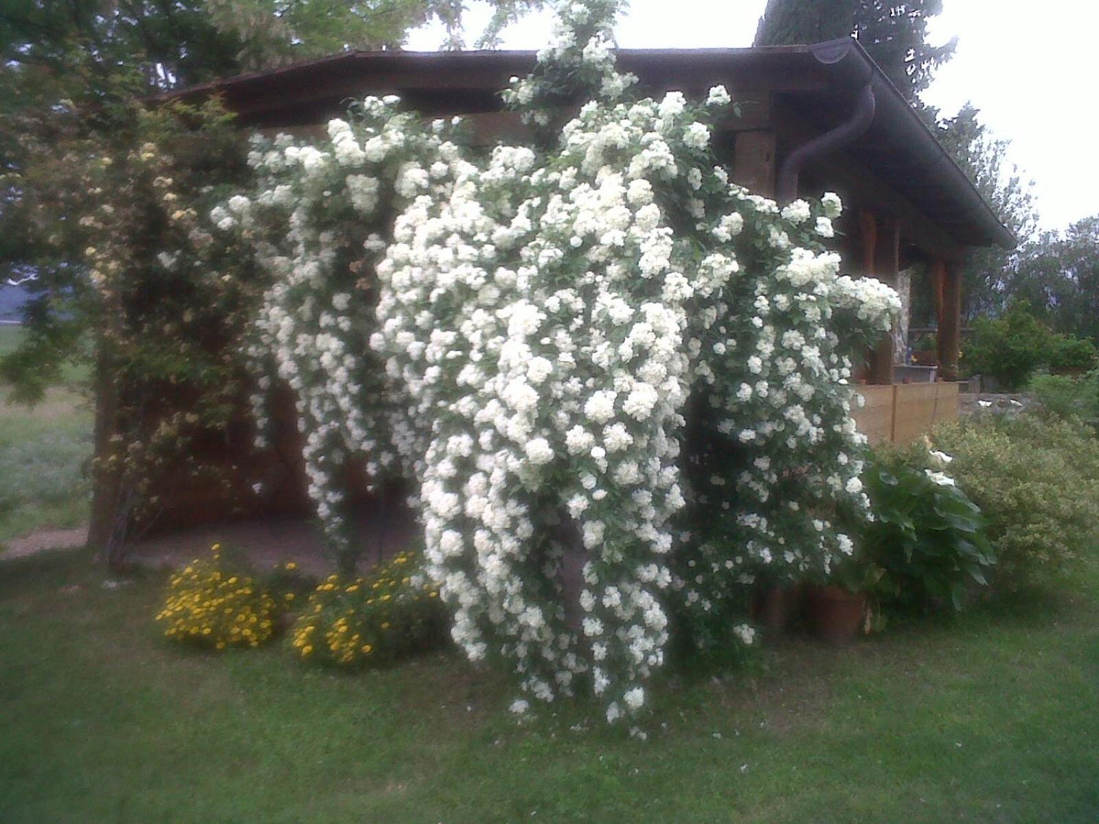 Agriturismo Podere Micitto photo 2