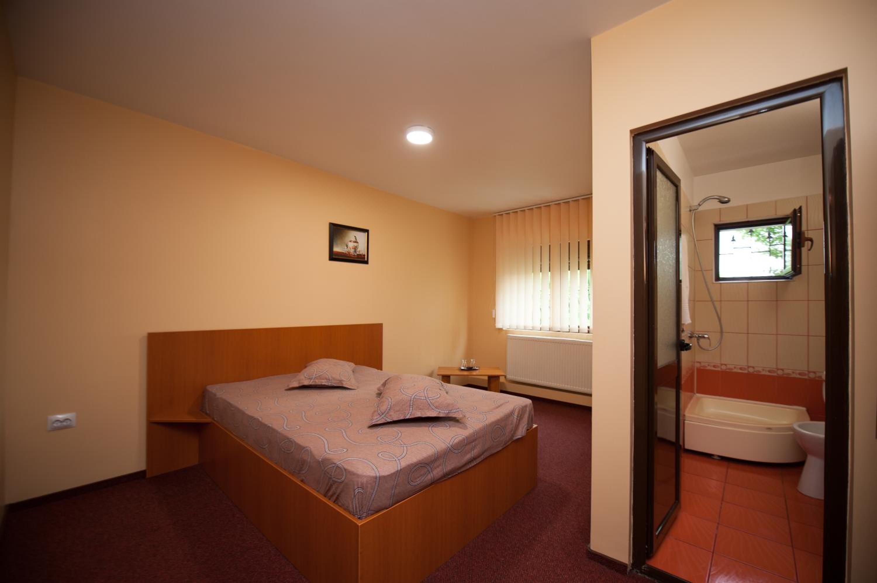 Pension Florica