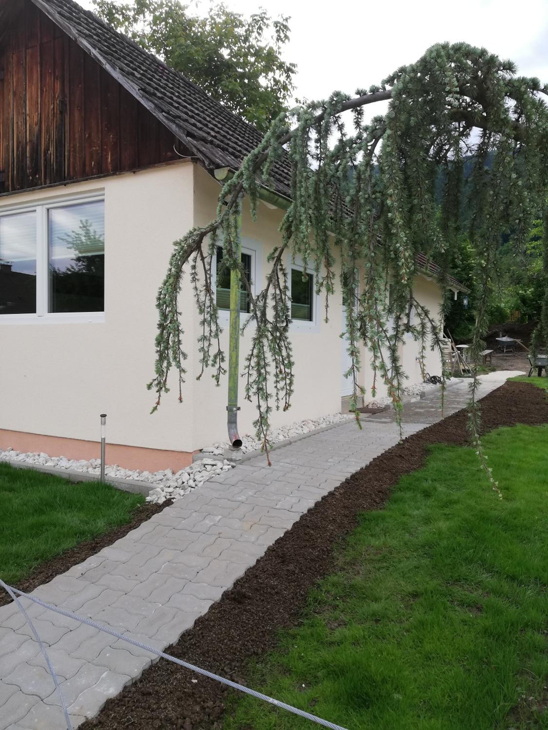 Ferienhaus Am-moore