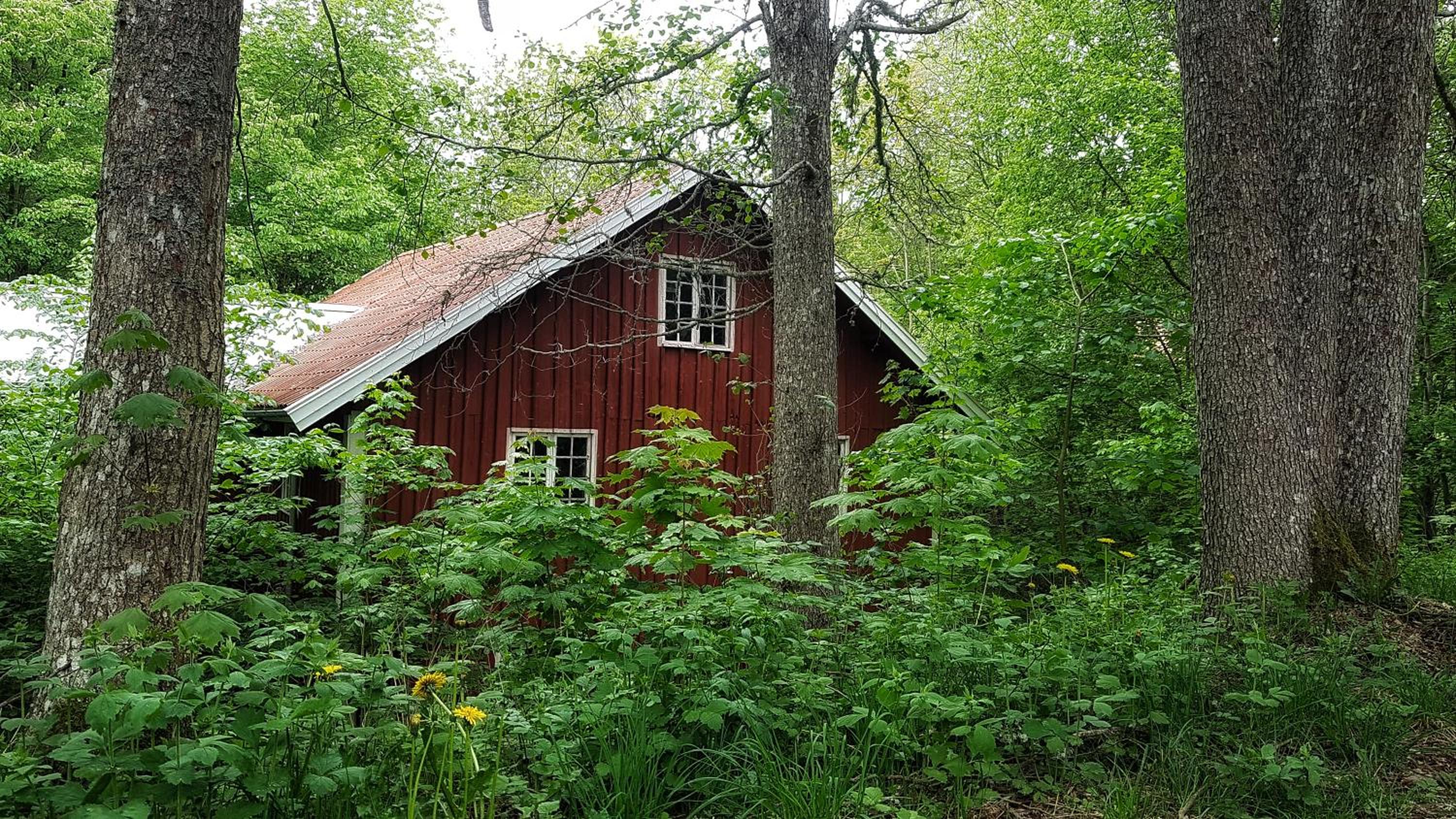 Photo 31