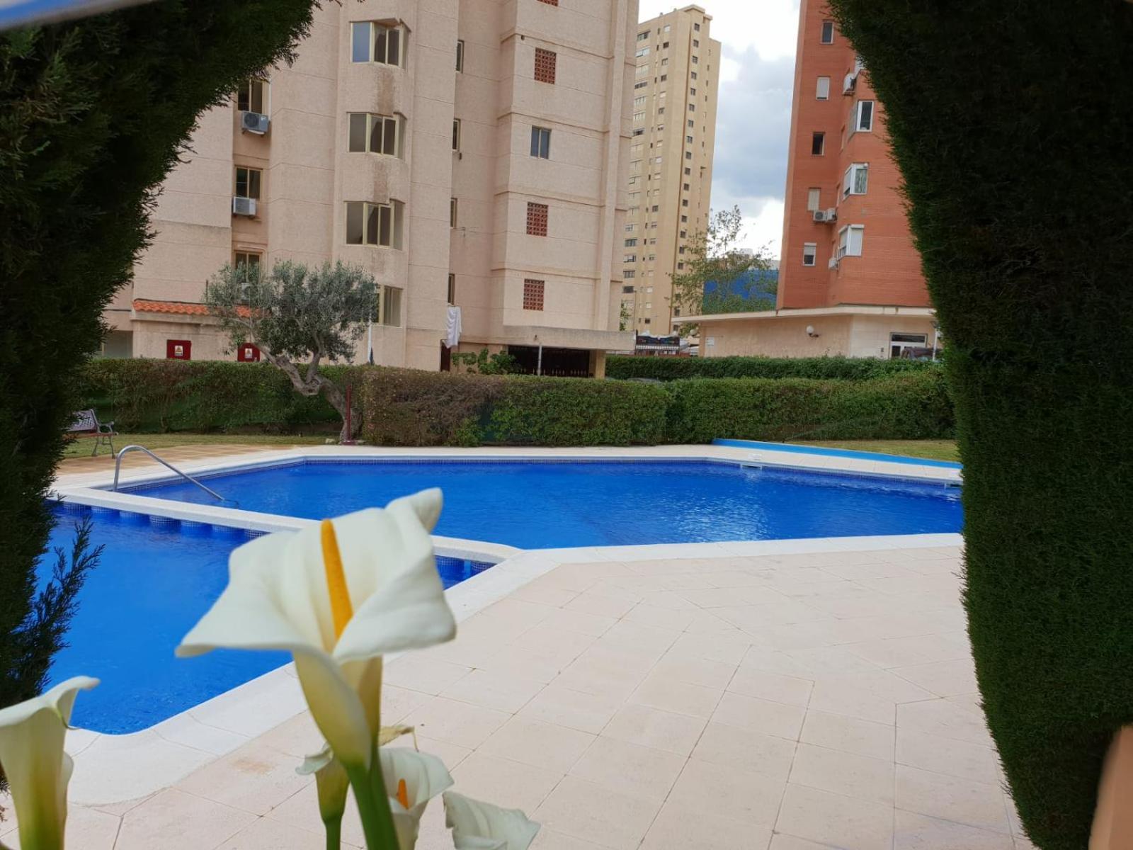 En el cielo de Benidorm - Alteanos V view 4