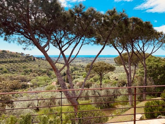 Podere Il Castellaccio view 3