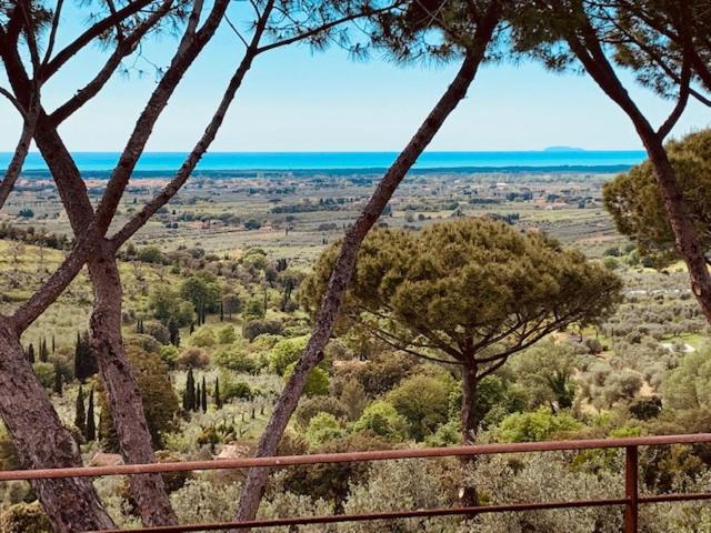 Podere Il Castellaccio view 4