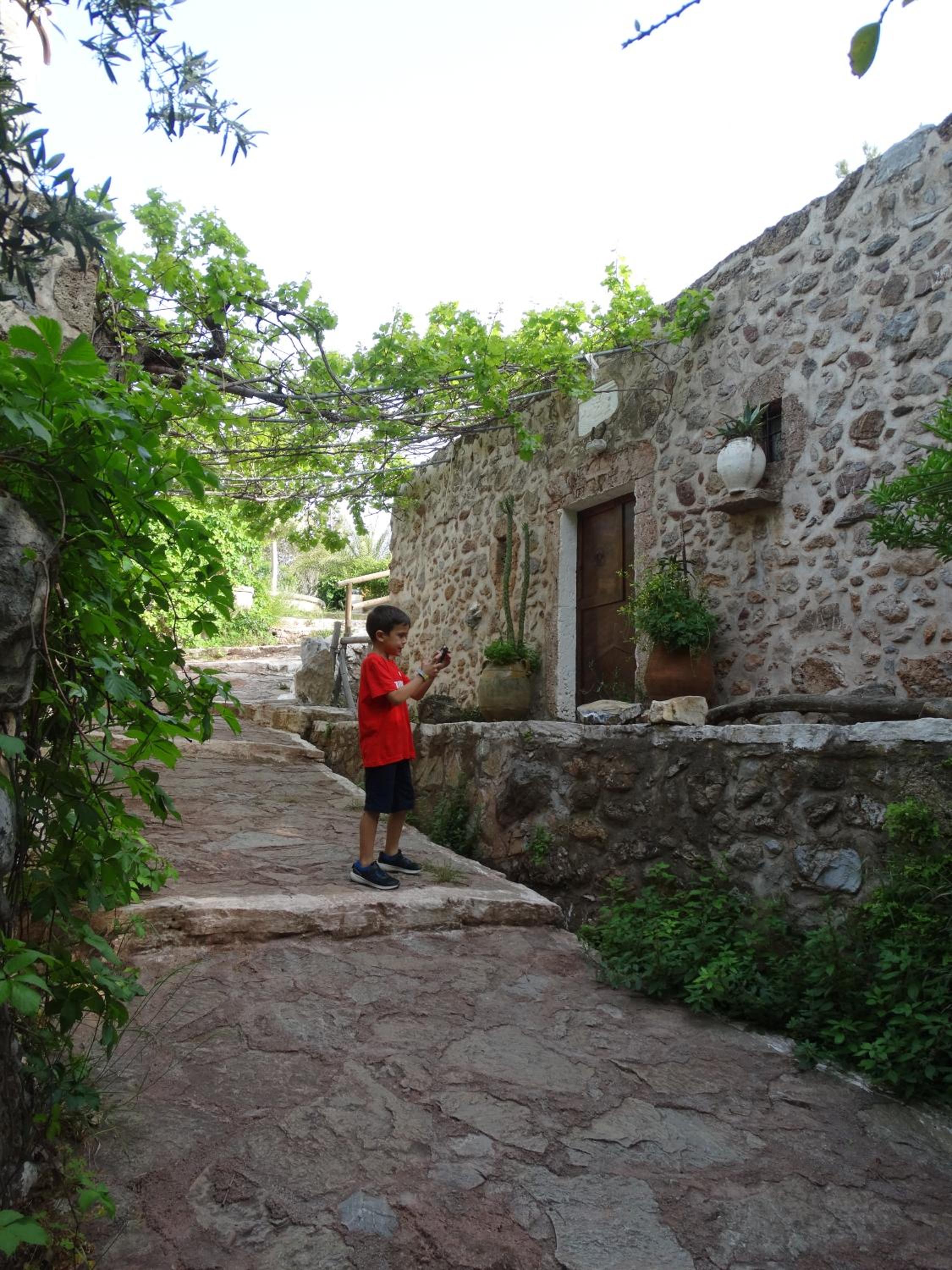 Photo 28