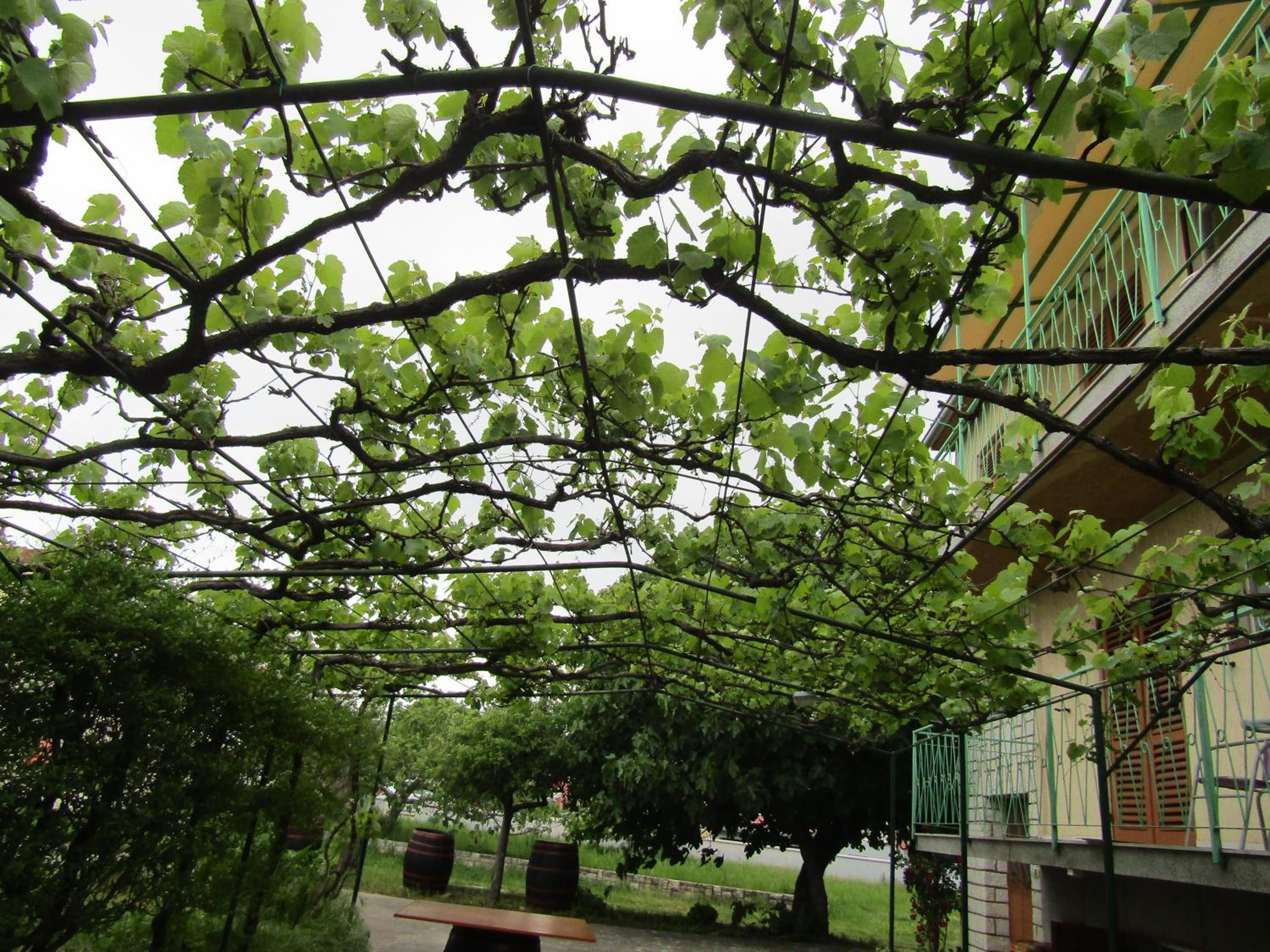 Green garden apartments view 4