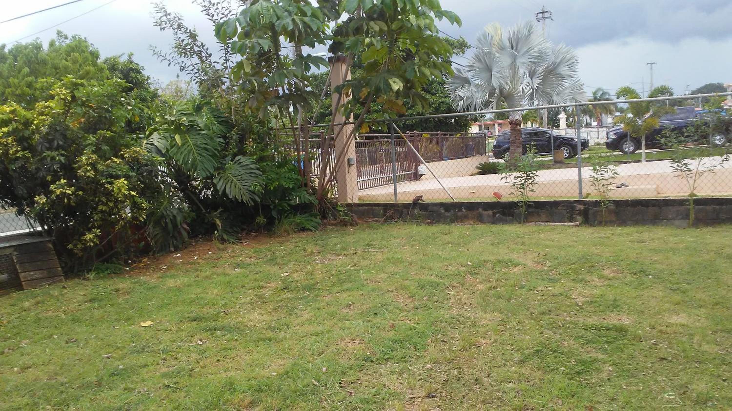 Brisas de Borinquen view 5