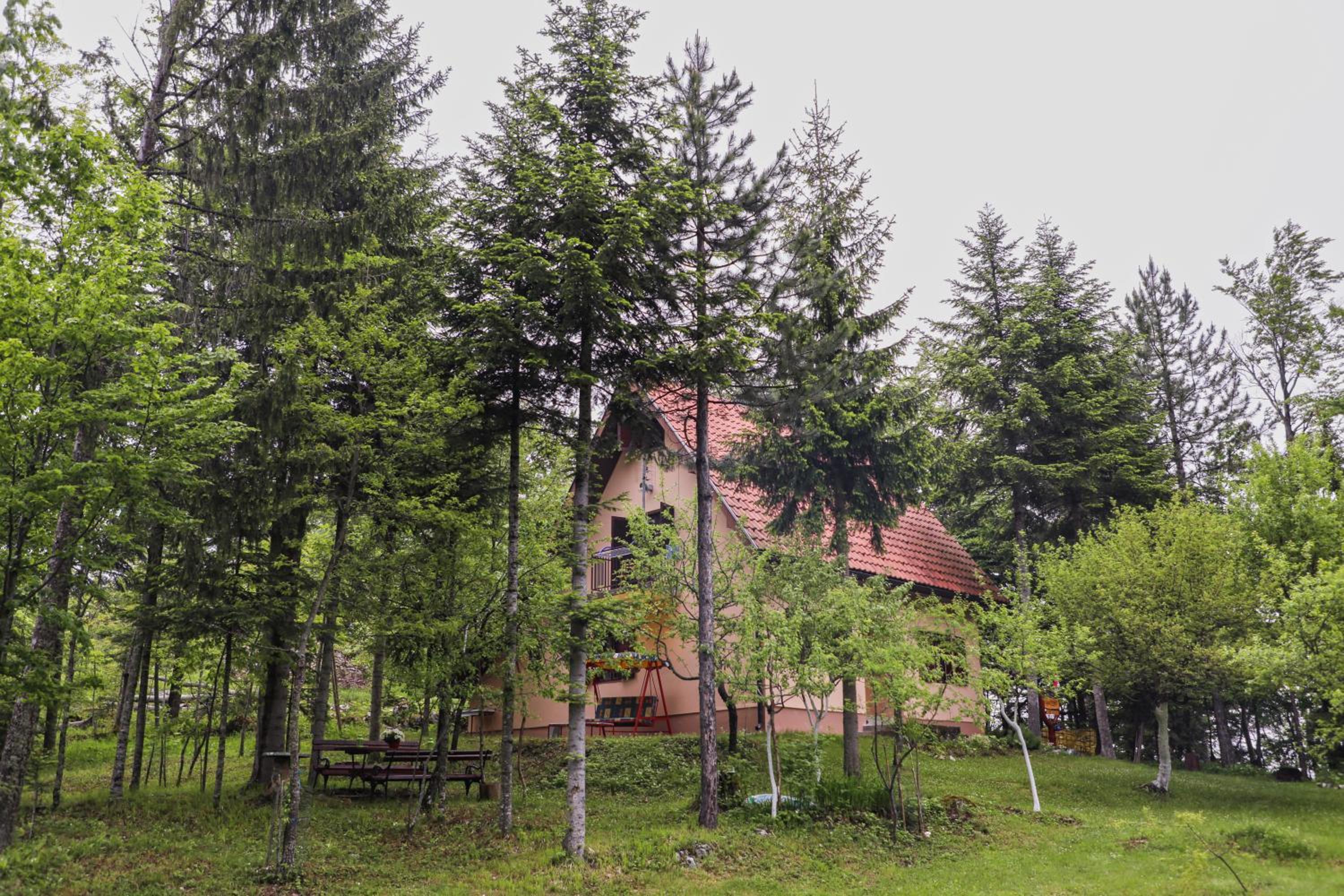Photo 28