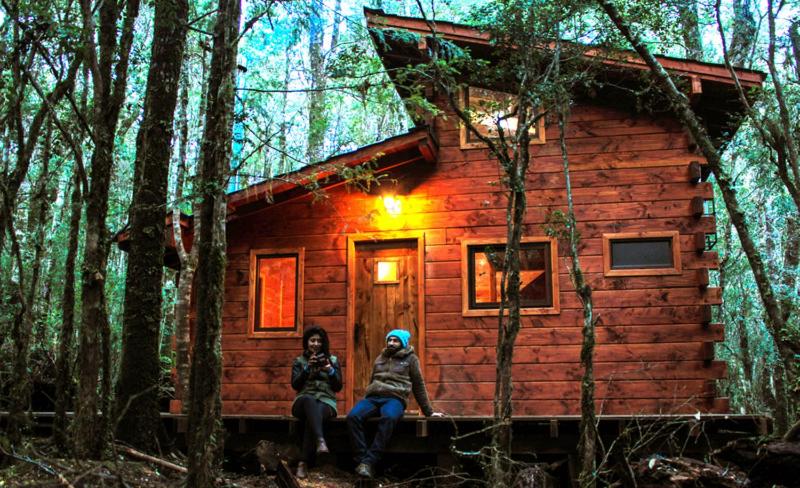 Cabañas Bosque Milenario view 3