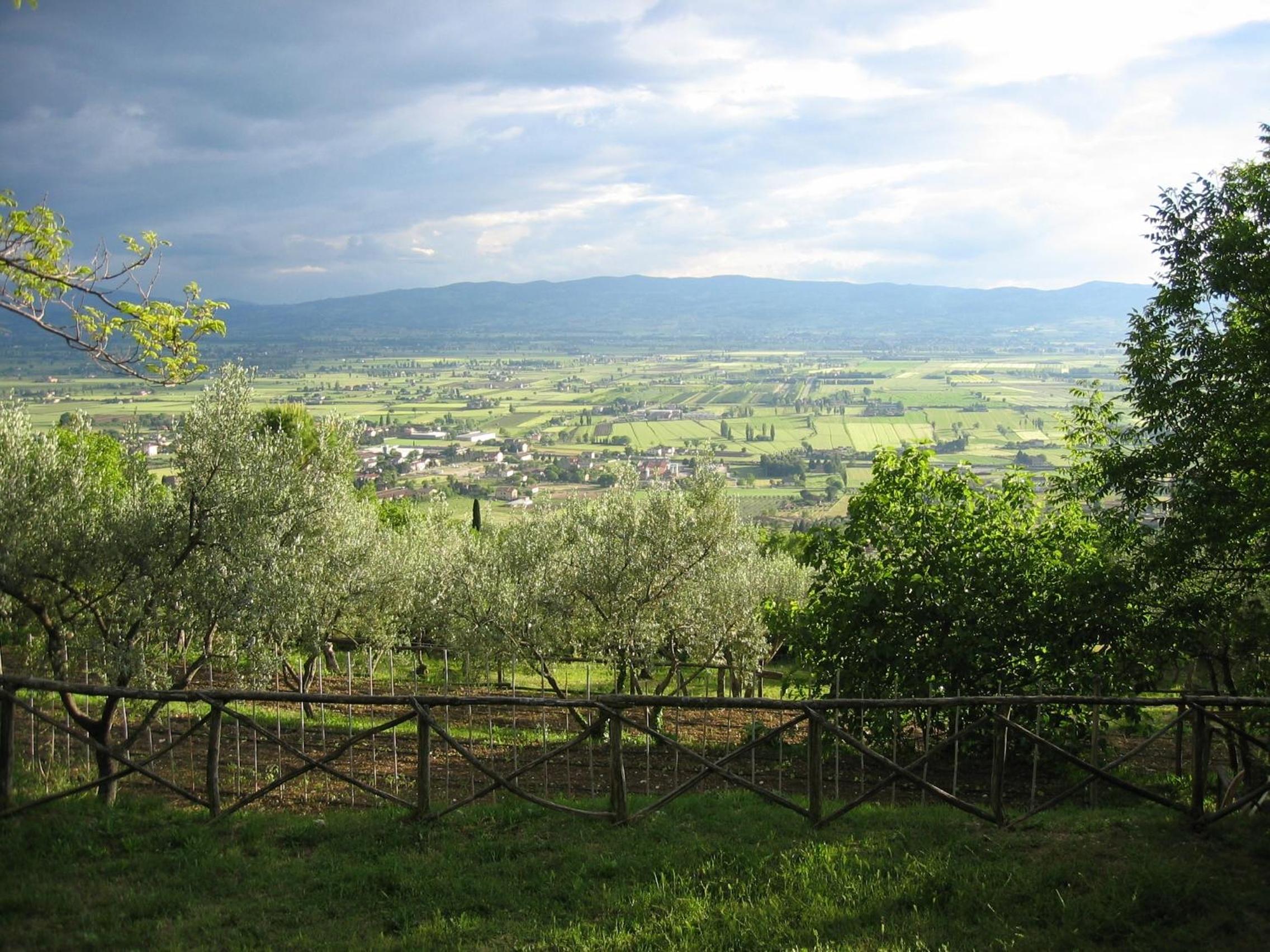 Photo 20