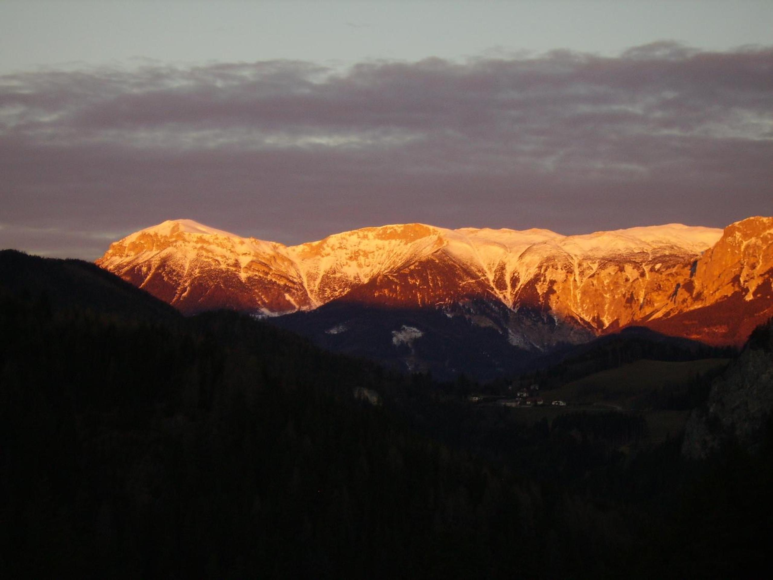 Photo 28