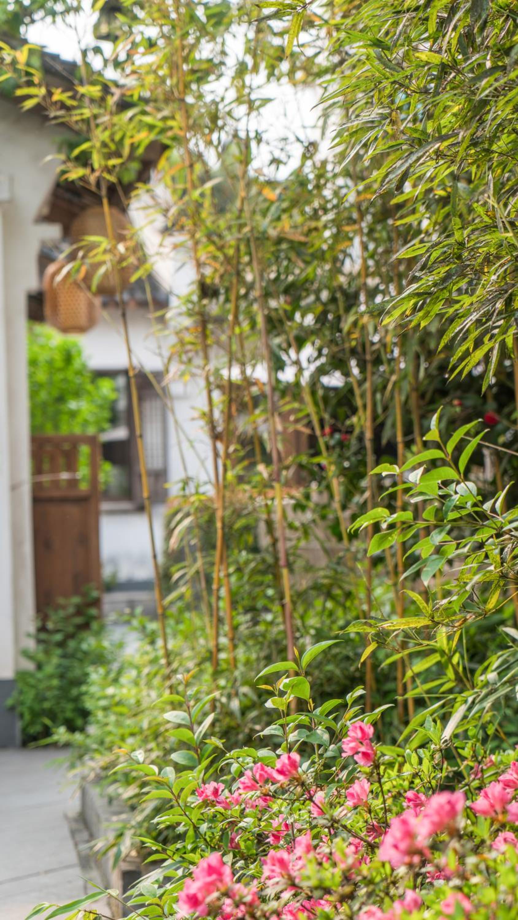 Floral Hotel · Yuexiang Inn Wuzhen