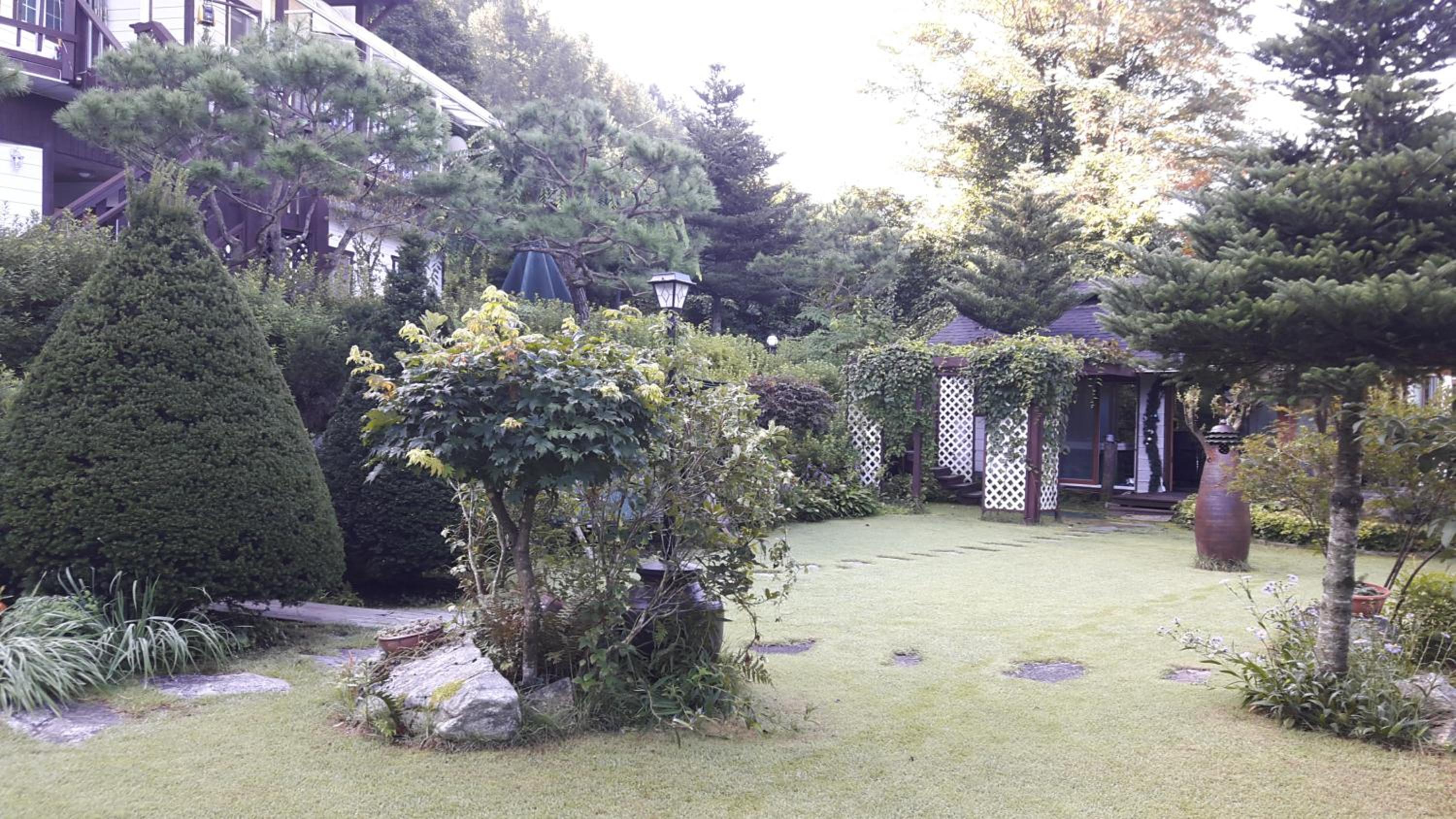 Photo 4