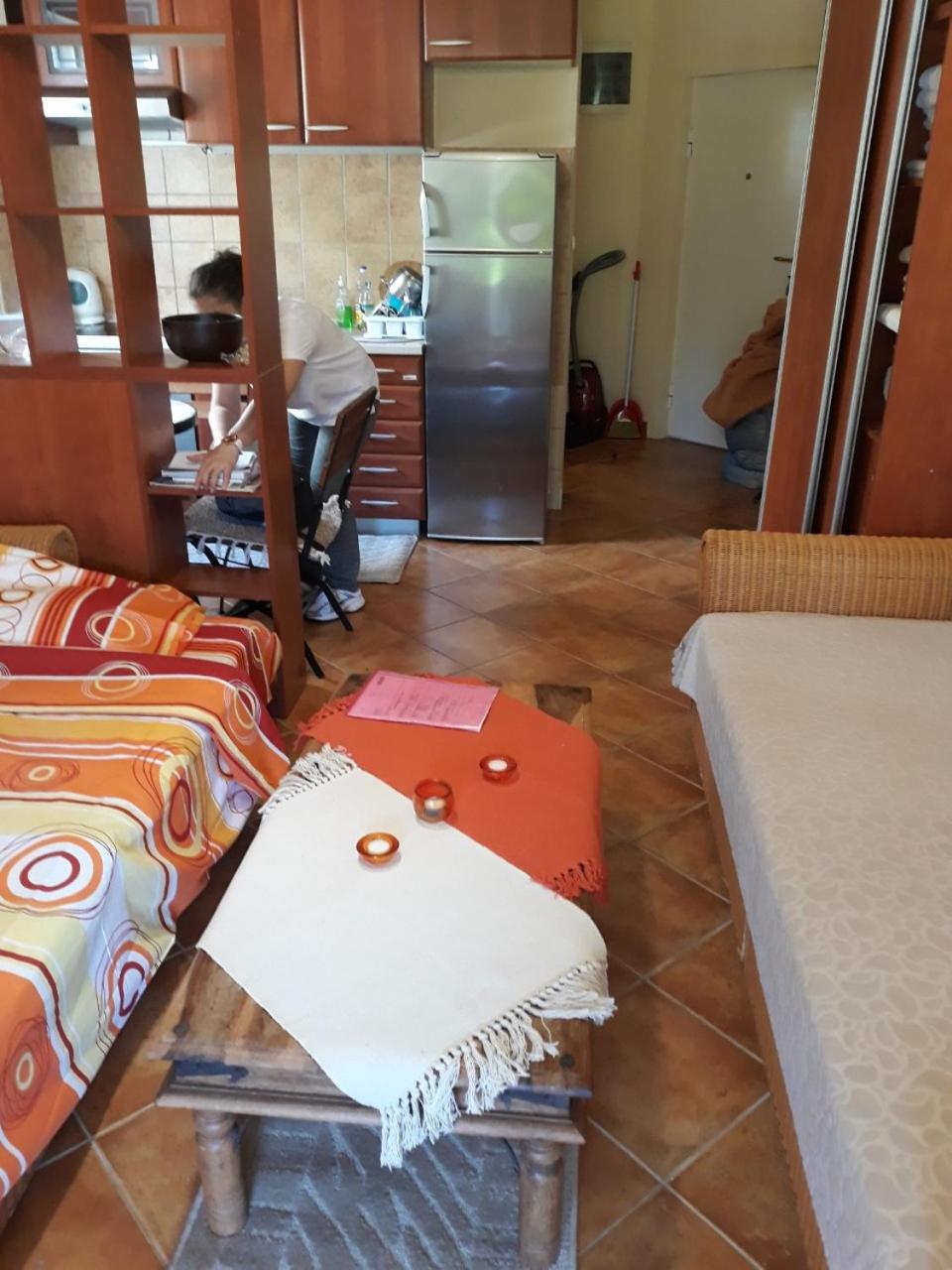 Apartment Milica view 4
