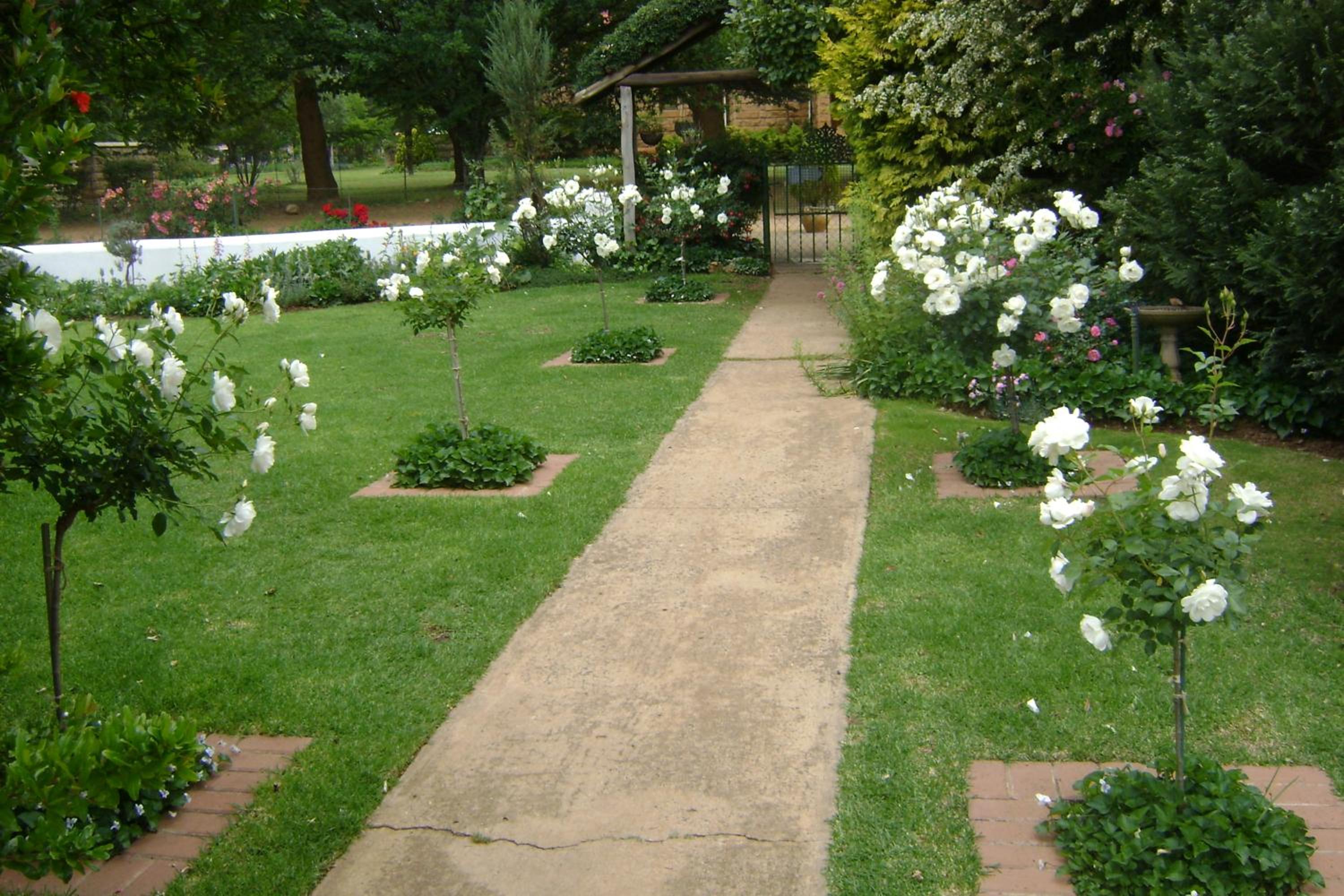 Rosewood Corner, Clarens