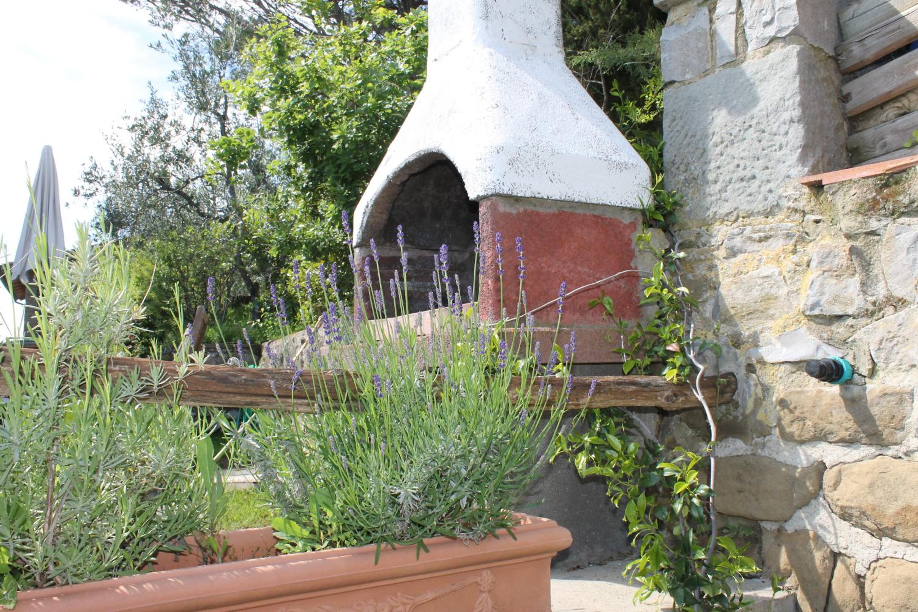 Podere I Rovai-apt IL RIFUGIO- in the heart of Tuscany view 4