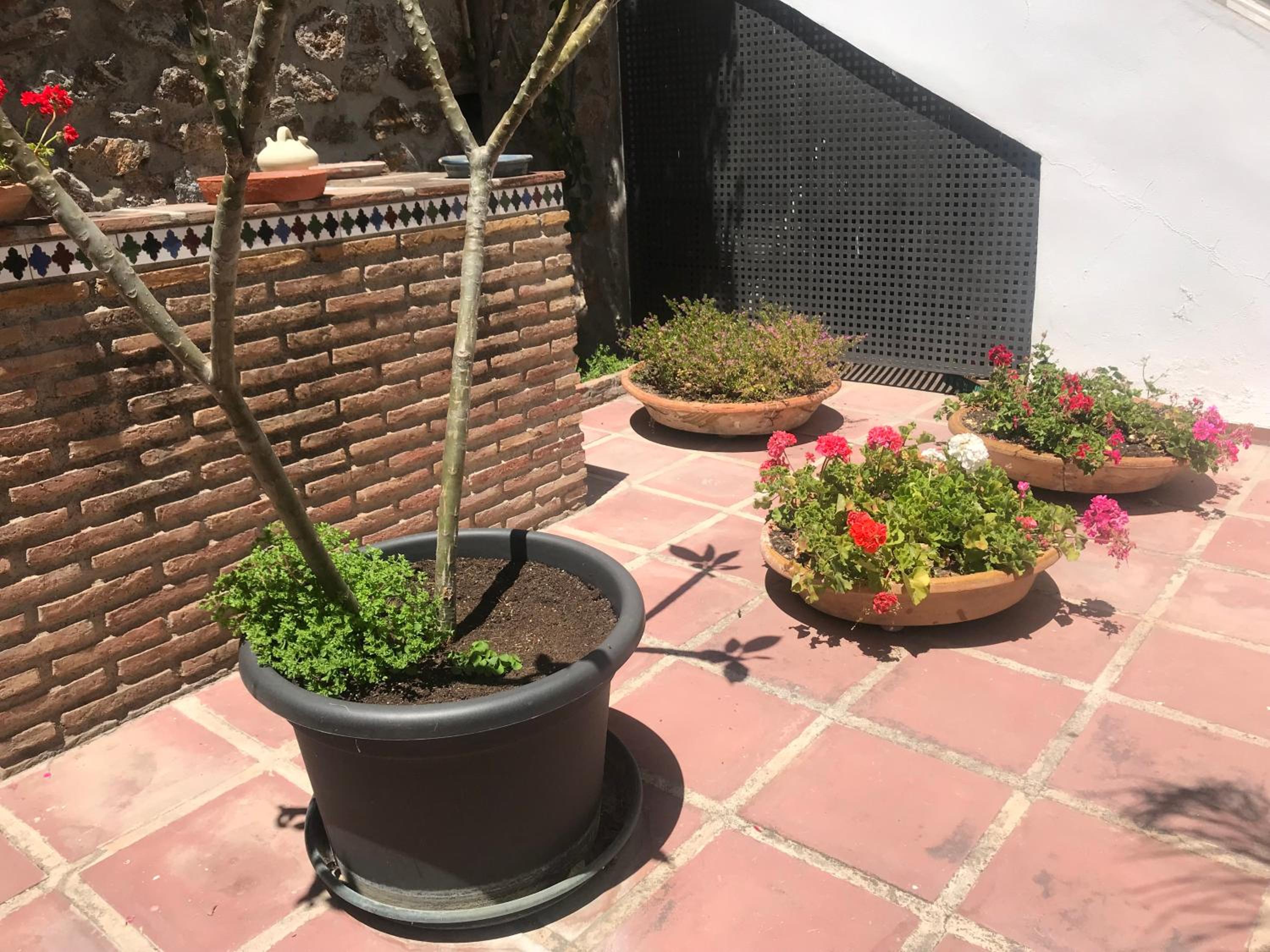 Apartamentos Turísticos La Mundial