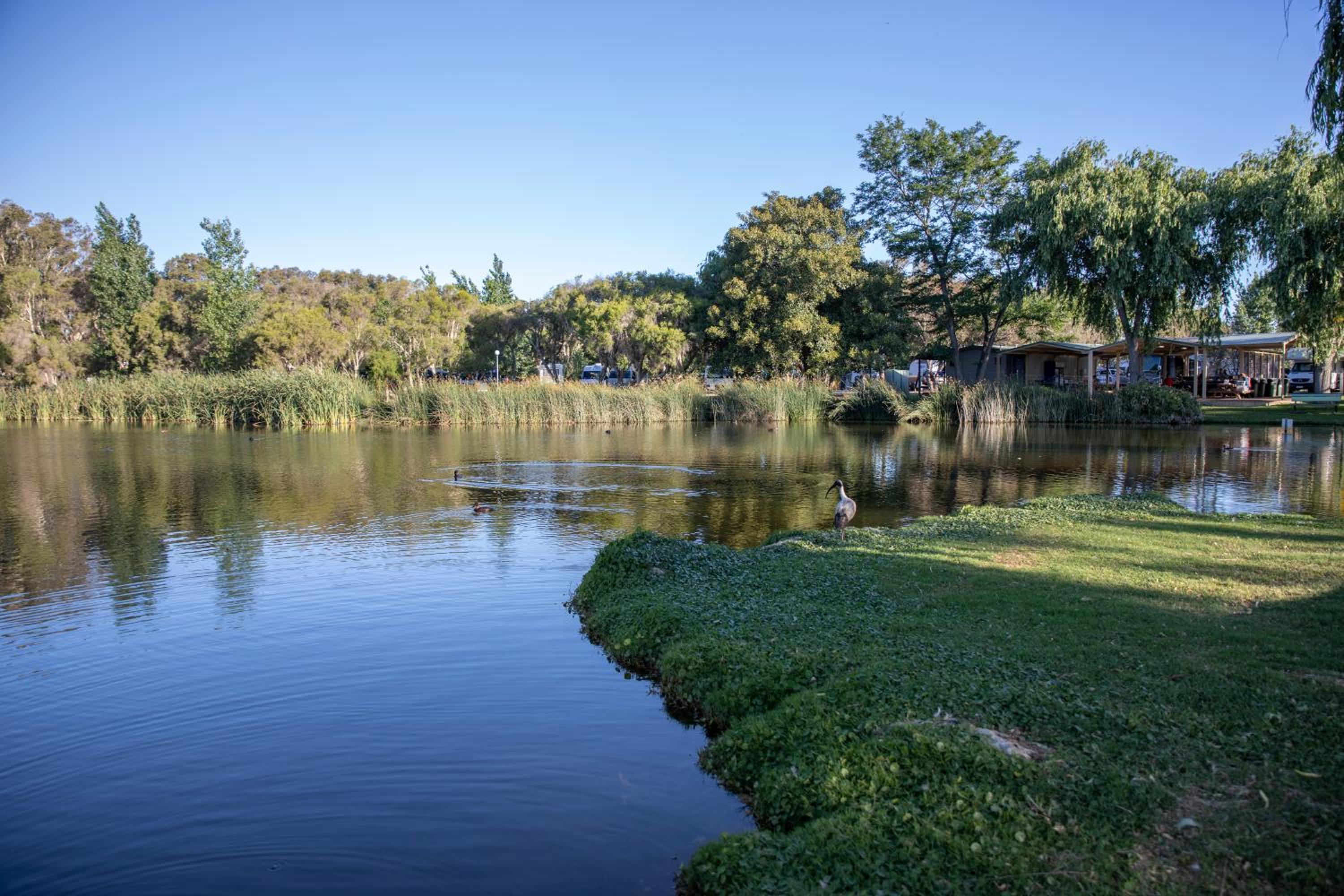 Karrinyup Waters Resort