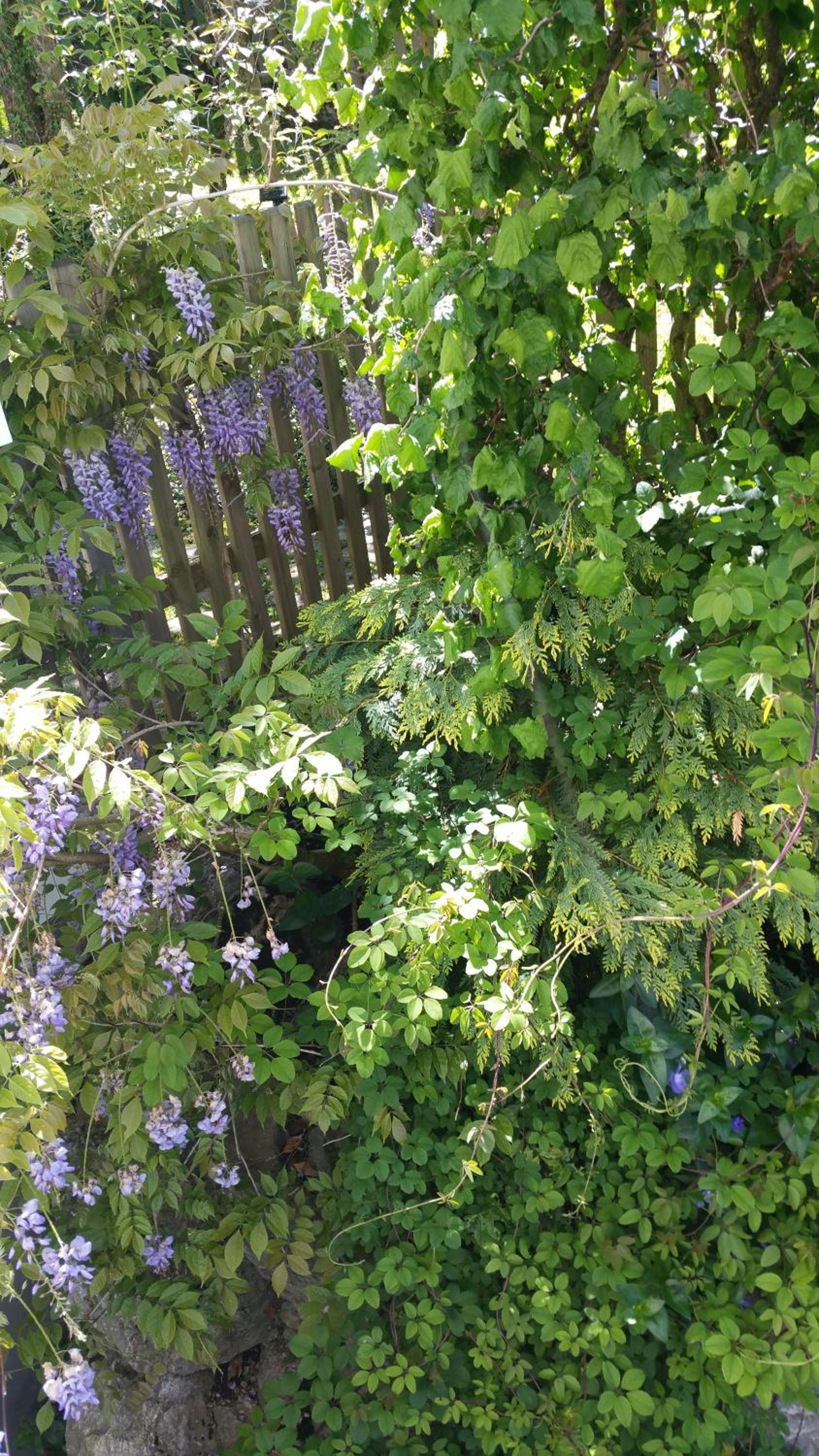 Photo 16