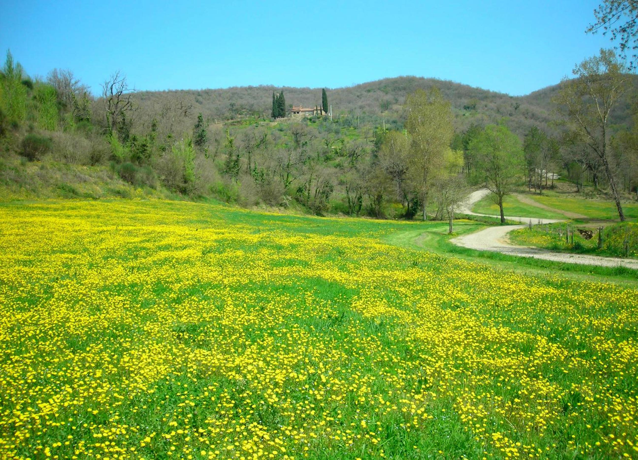 Allegro Agriturismo Argiano
