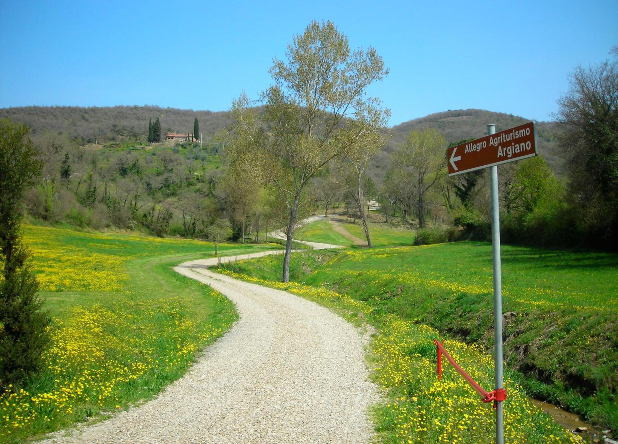 Allegro Agriturismo Argiano