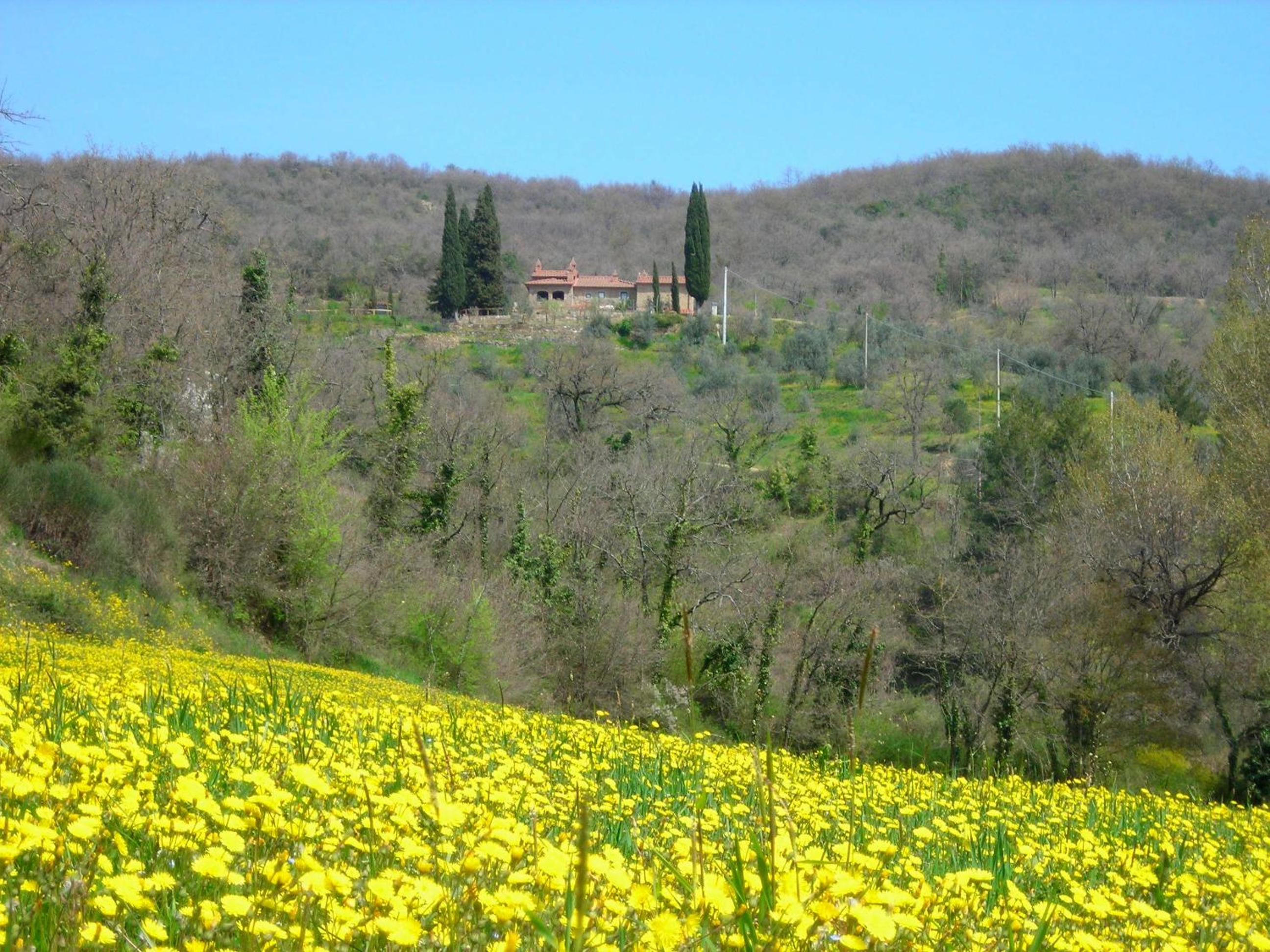 Allegro Agriturismo Argiano