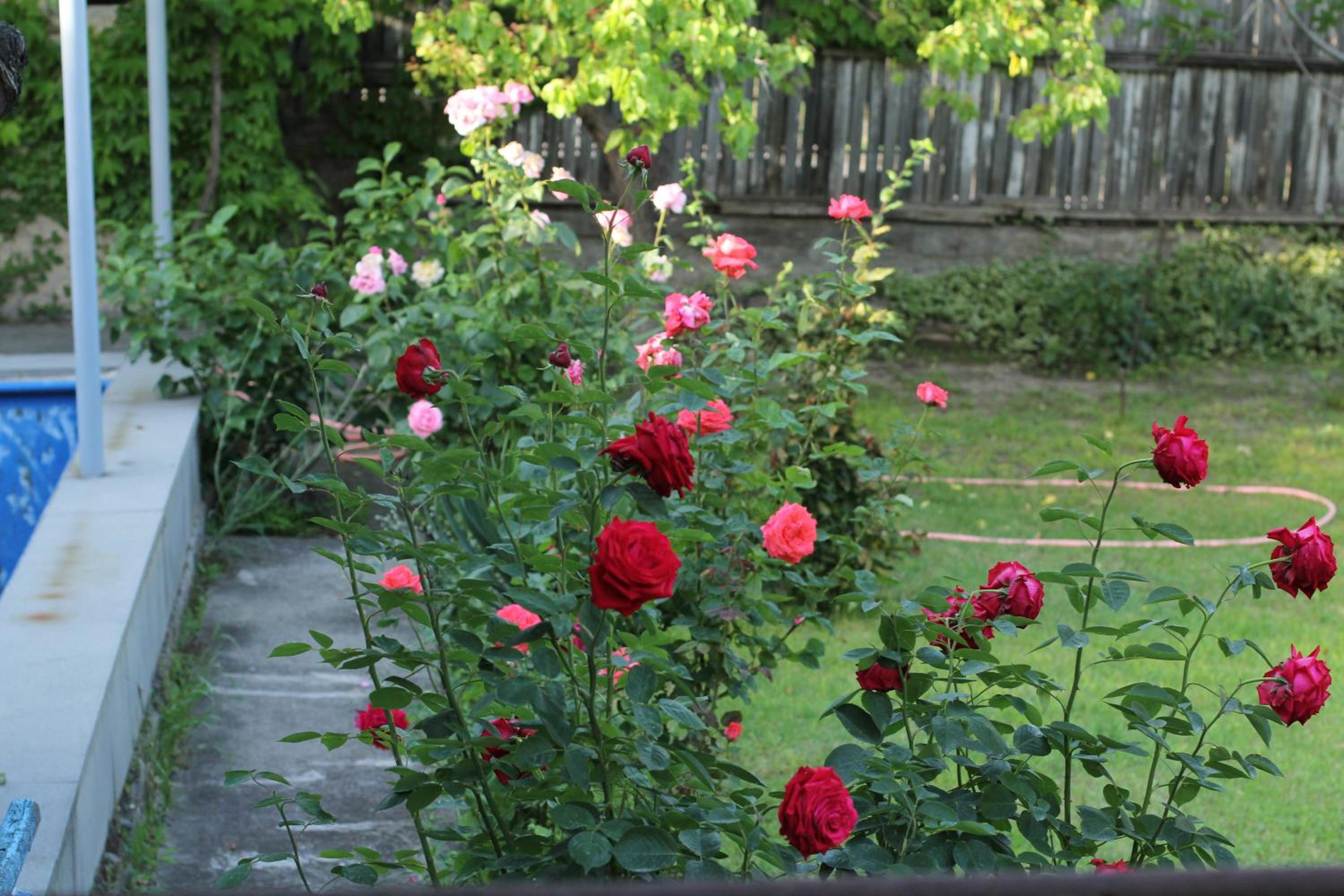 Photo 22