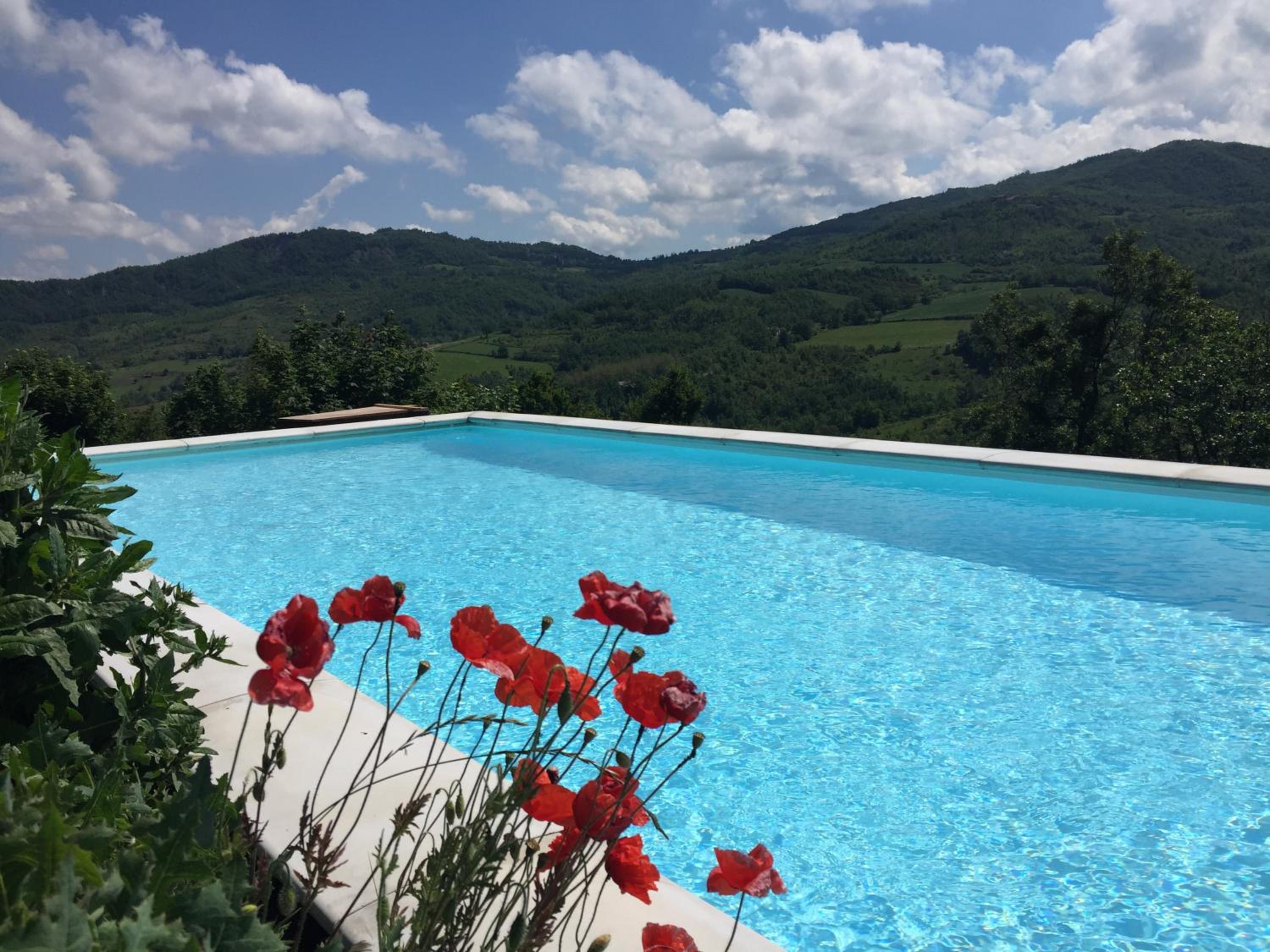nido d'amore en Dernice