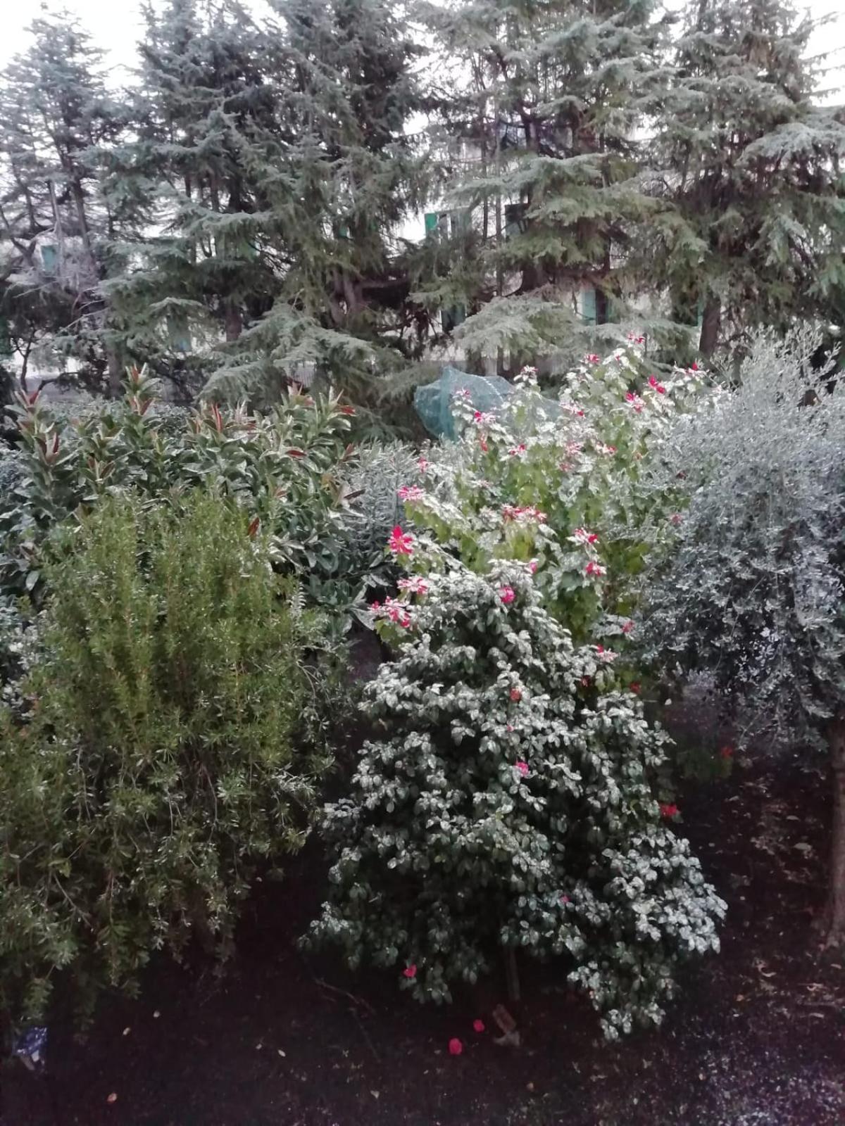 Photo 33