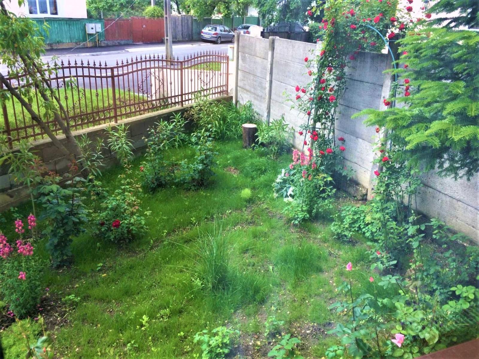Photo 32